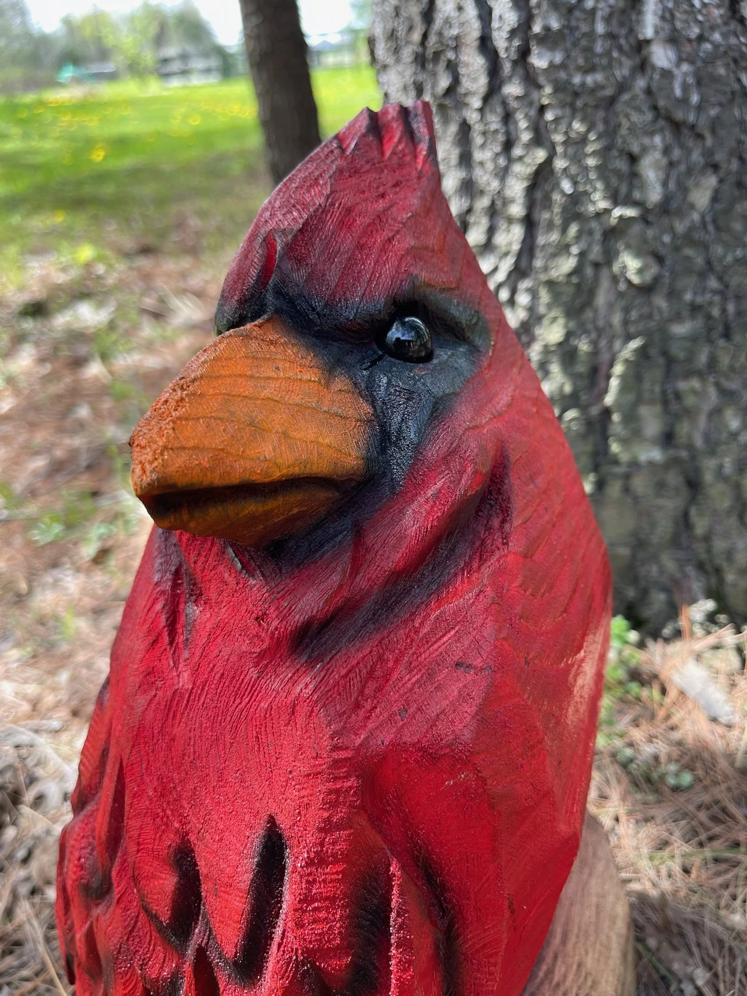 cardinal3.jpg (Copy)