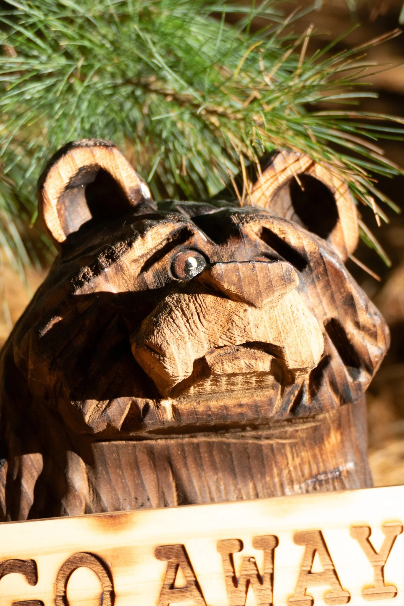 bearface1.jpg