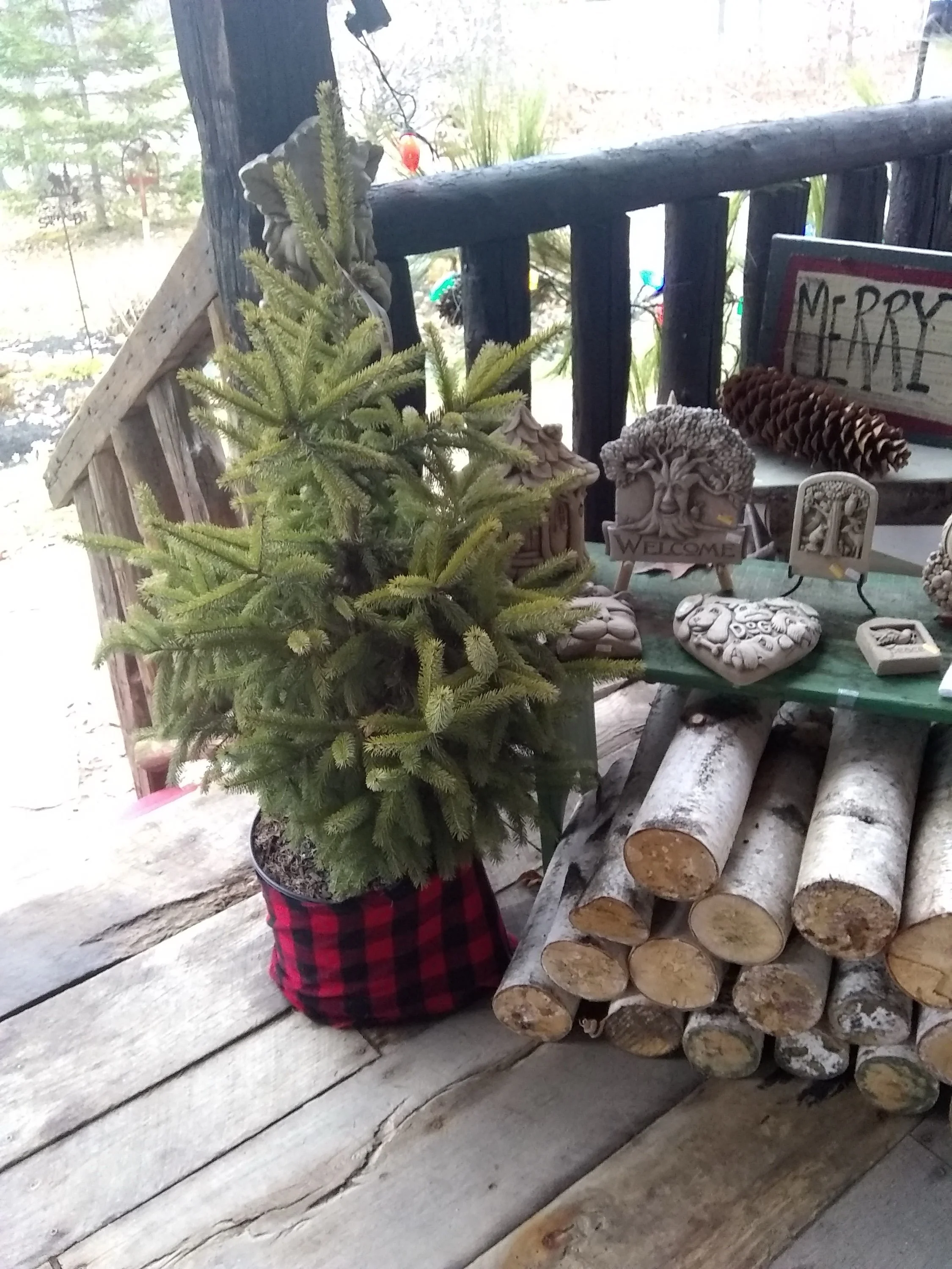 happytree8.jpg