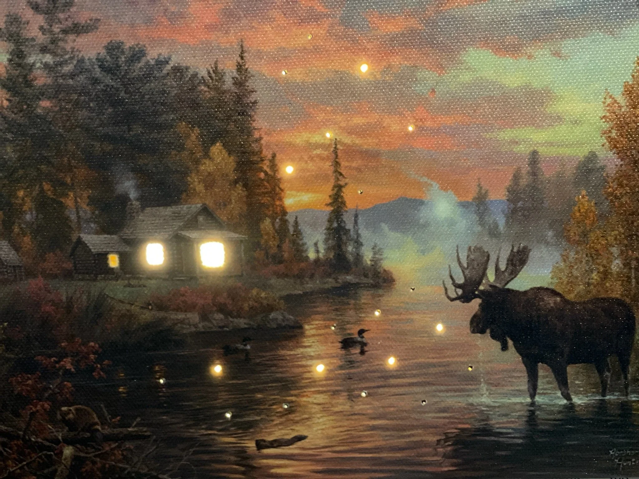 mooselightup2.jpg