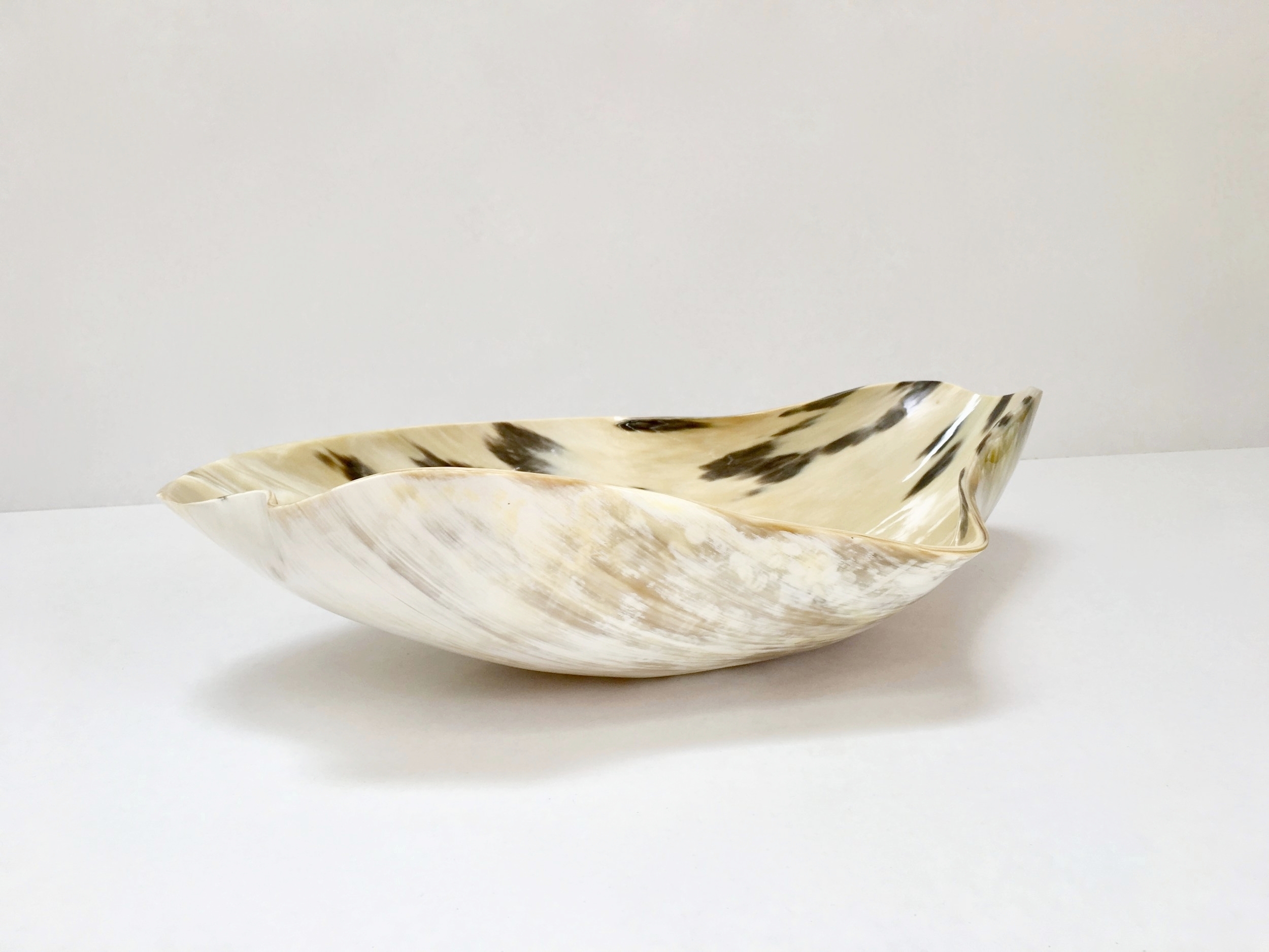 natural ankole cow horn bowl