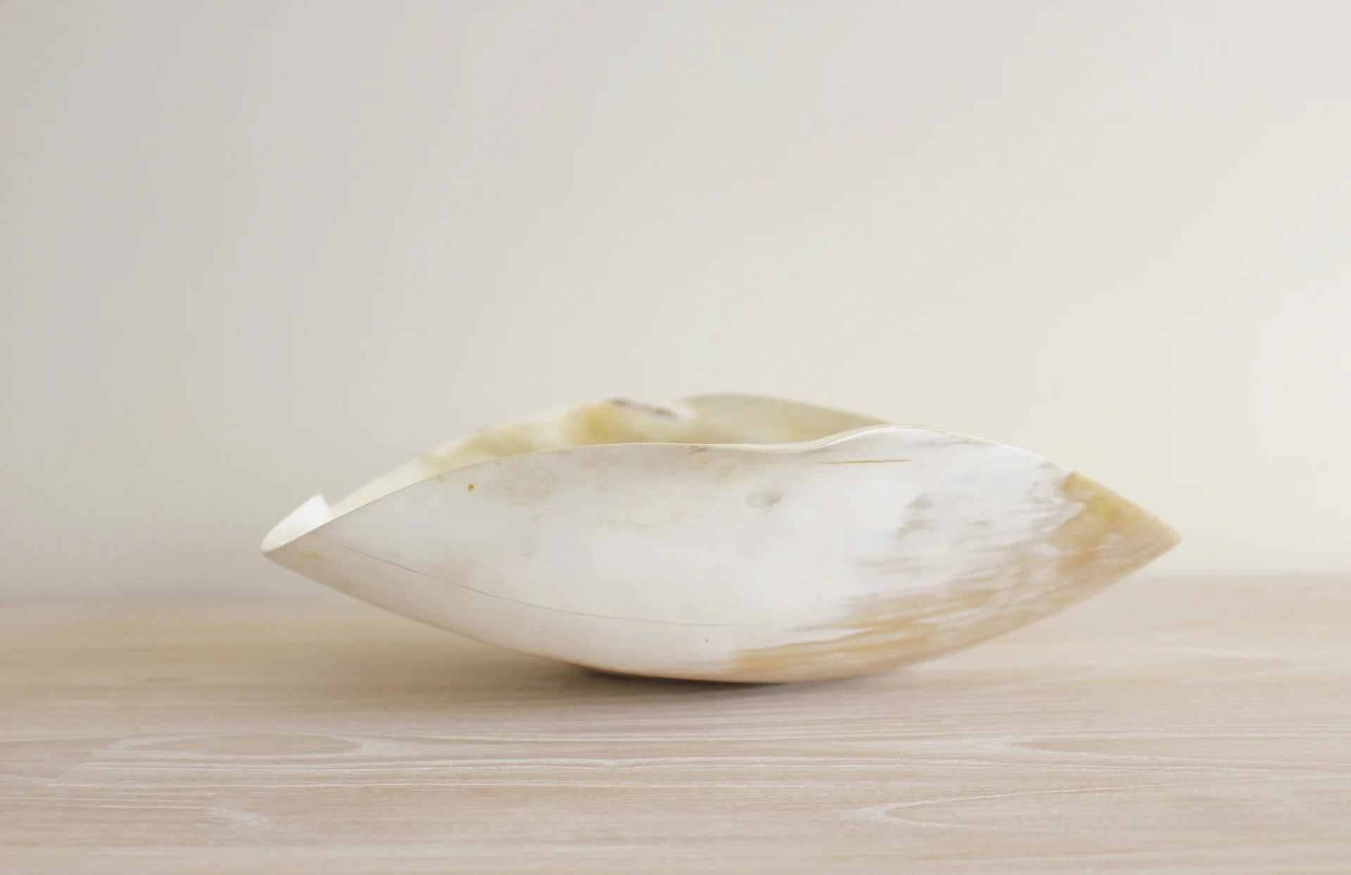 unique styling cow horn bowl