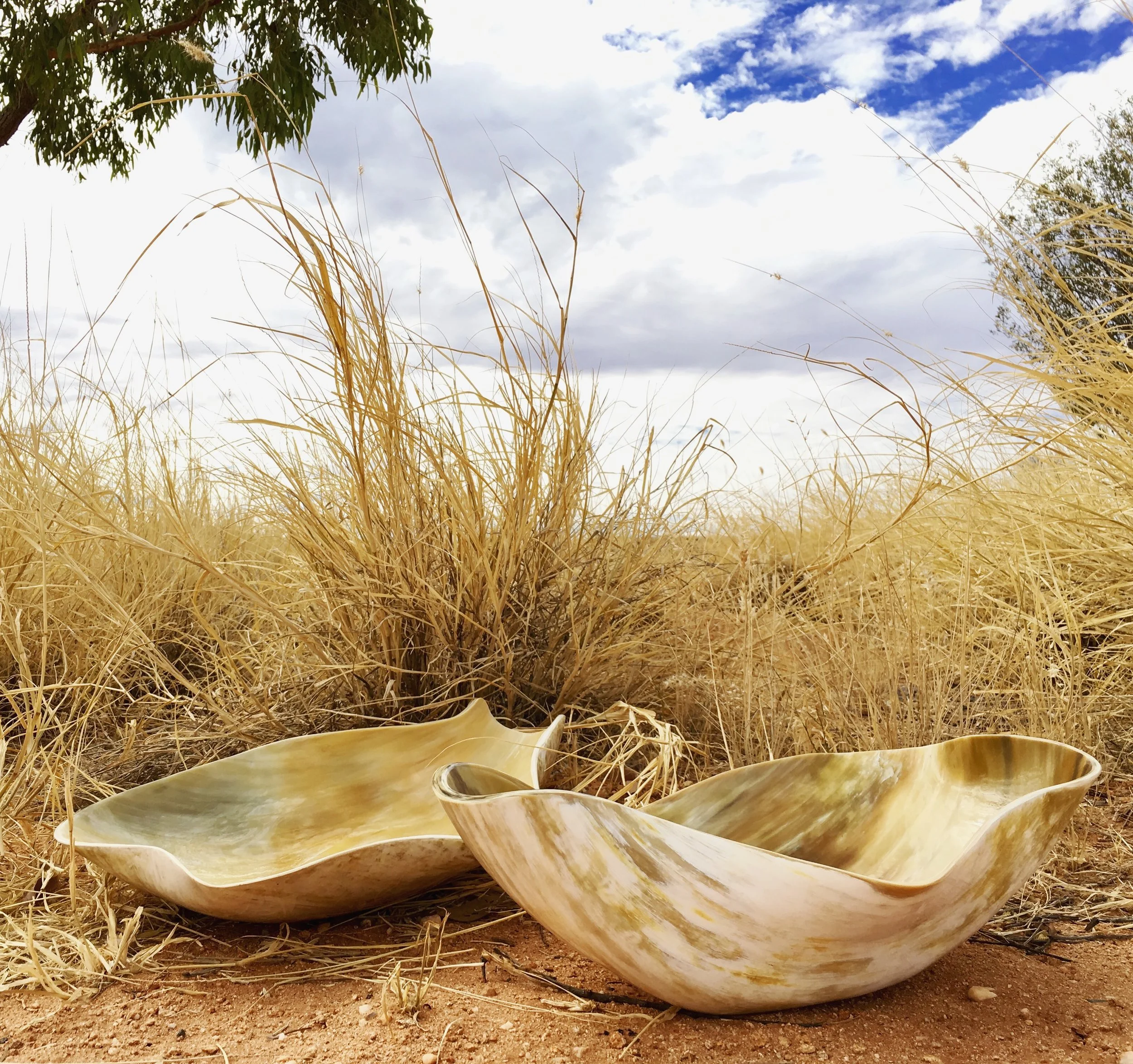 salad bowl ankole cow horn