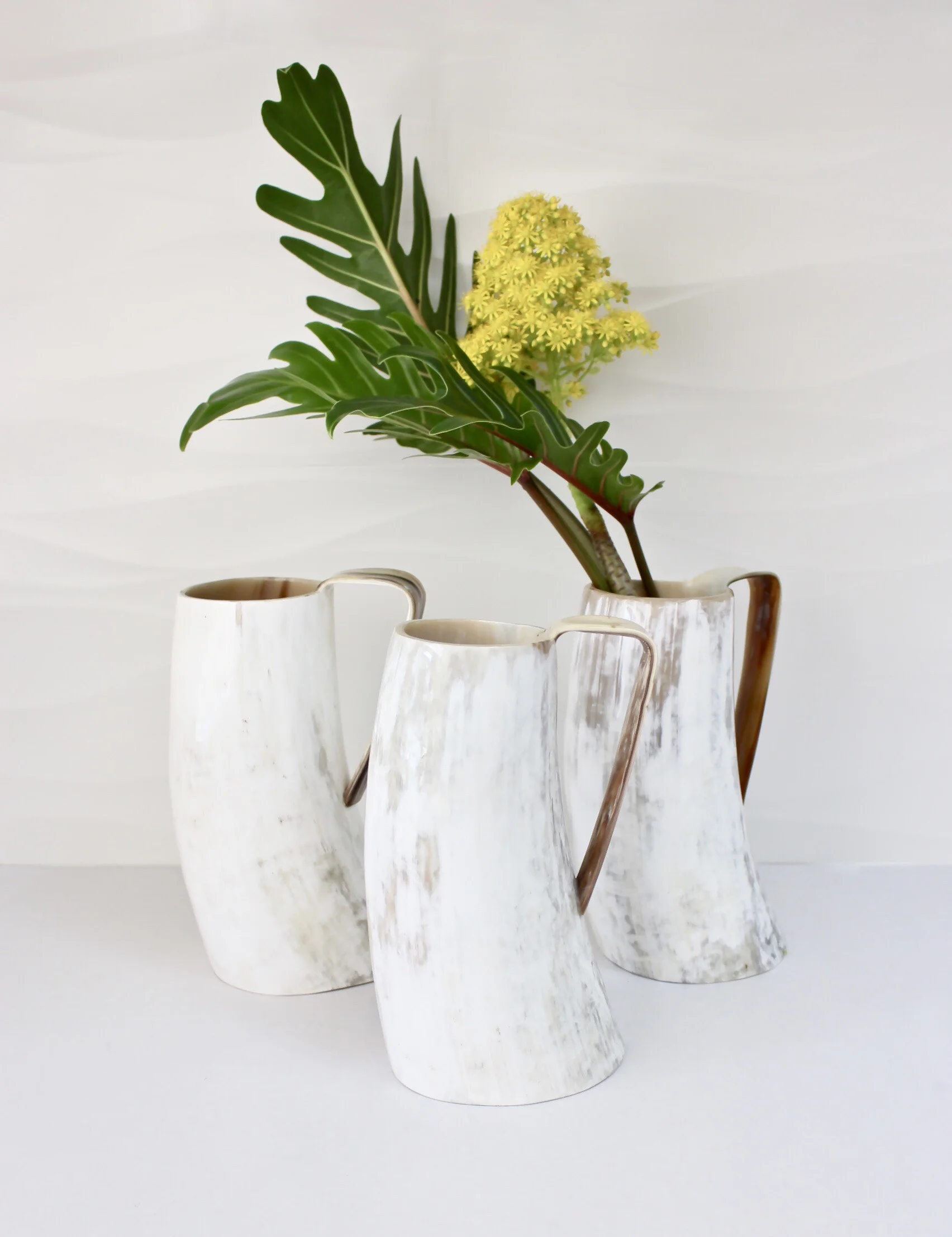 Ankole-Horn-Pitcher-Vase