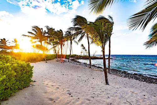 Coconut Grove