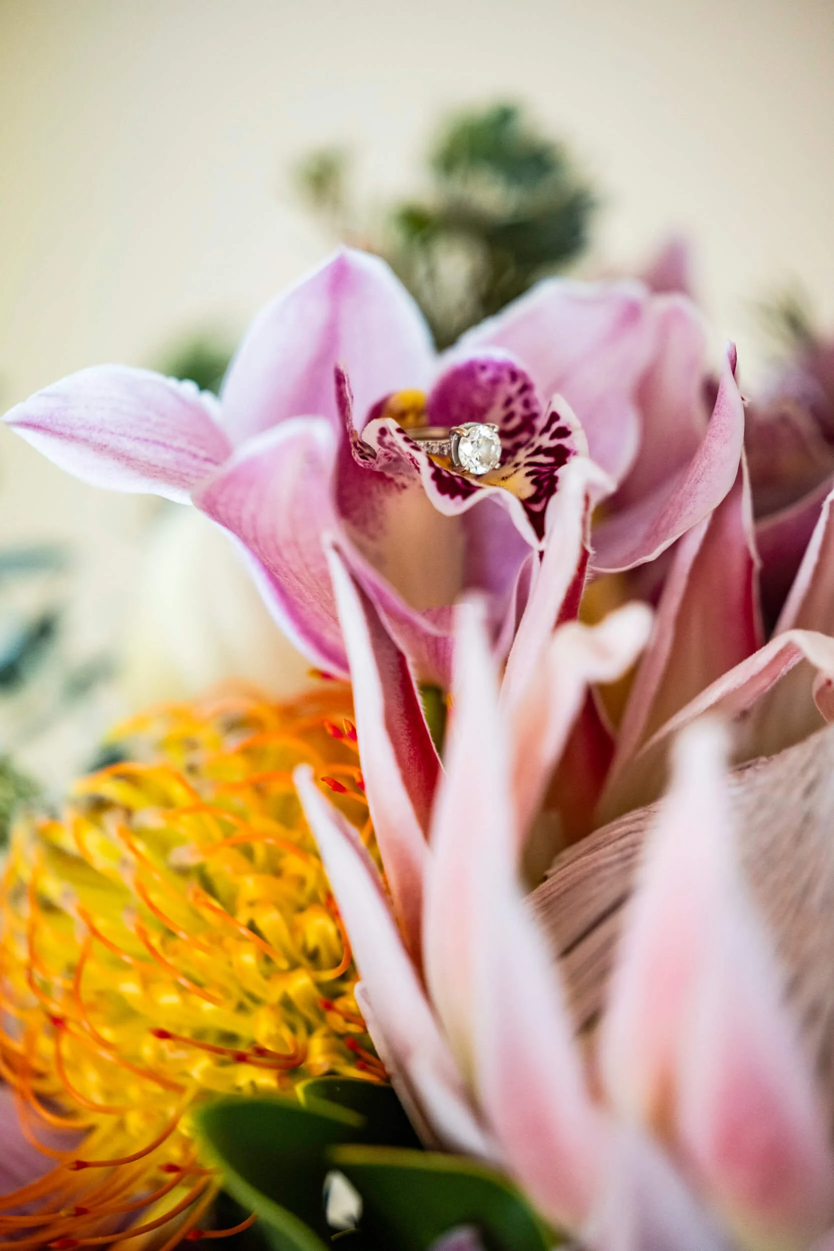 Hawaii Elopment-6.jpg