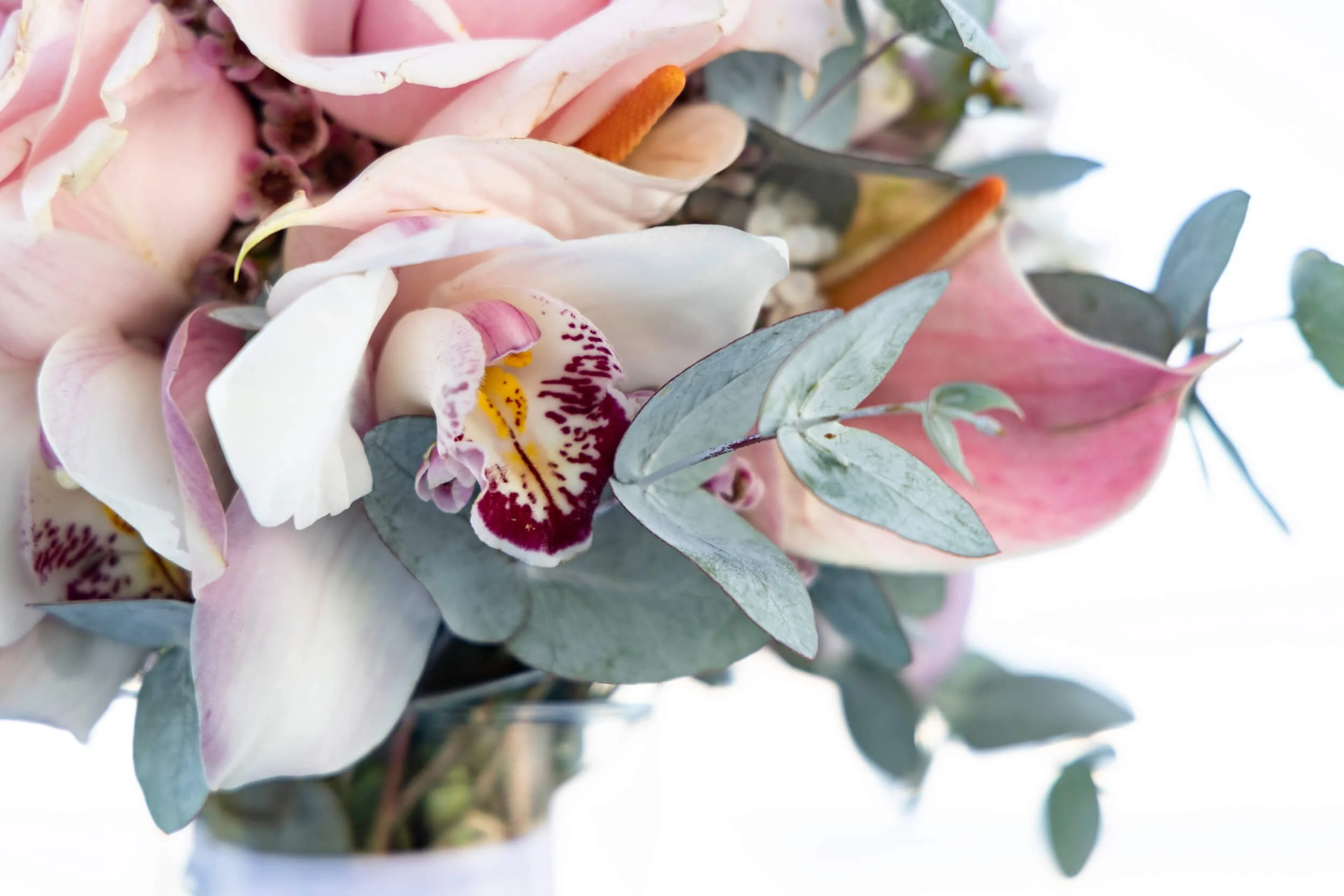 Hawaii Elopement-3.jpg