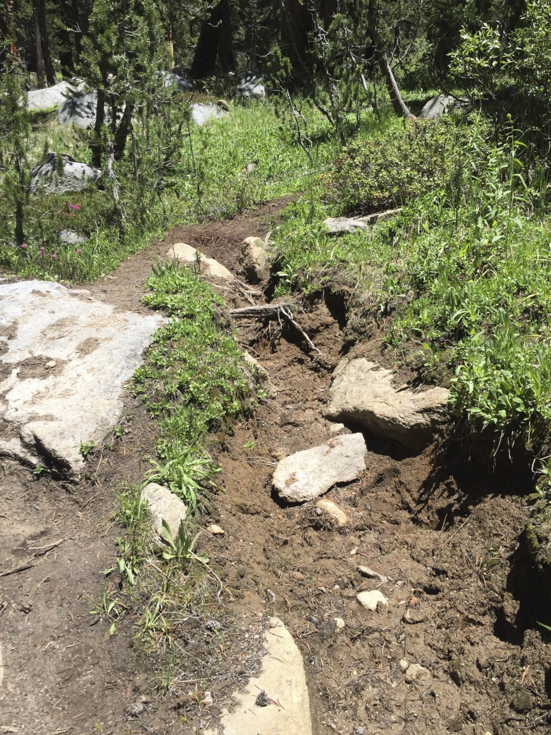 Eroding Trails