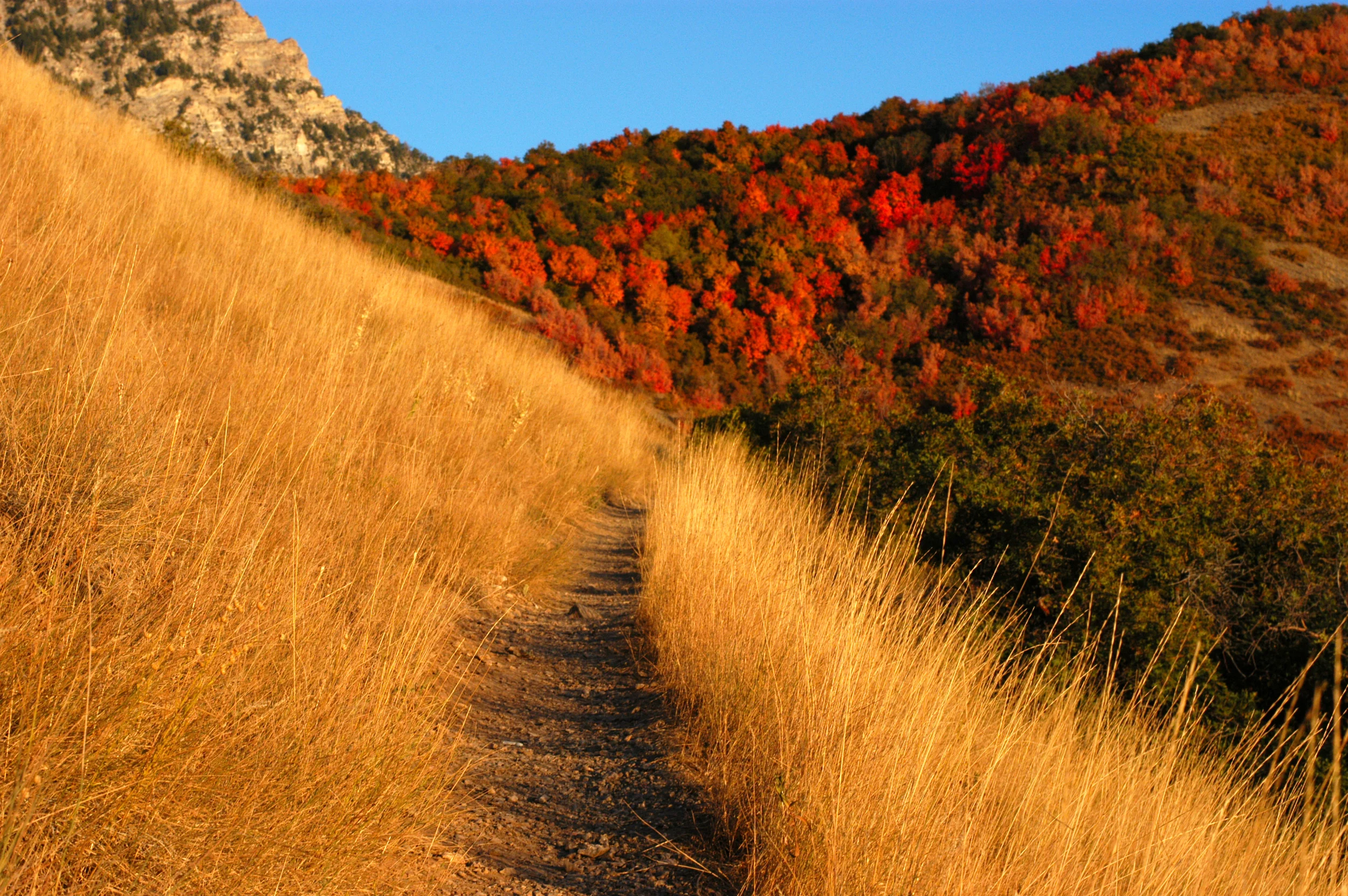Autumn_mountain_trail.jpg