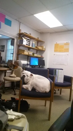 Murphy+hard+at+work+in+the+lab.jpg