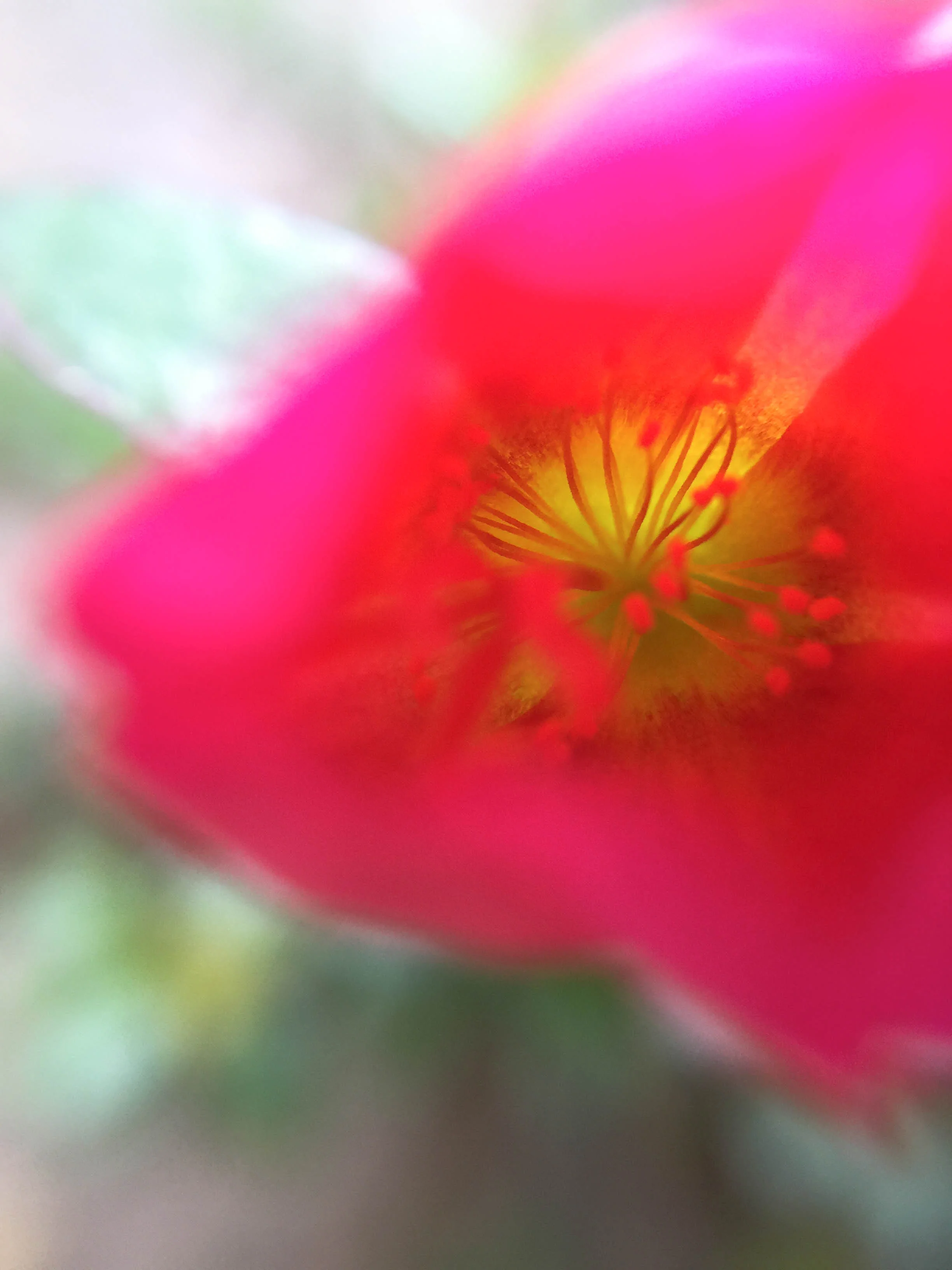 untitled-25.jpg