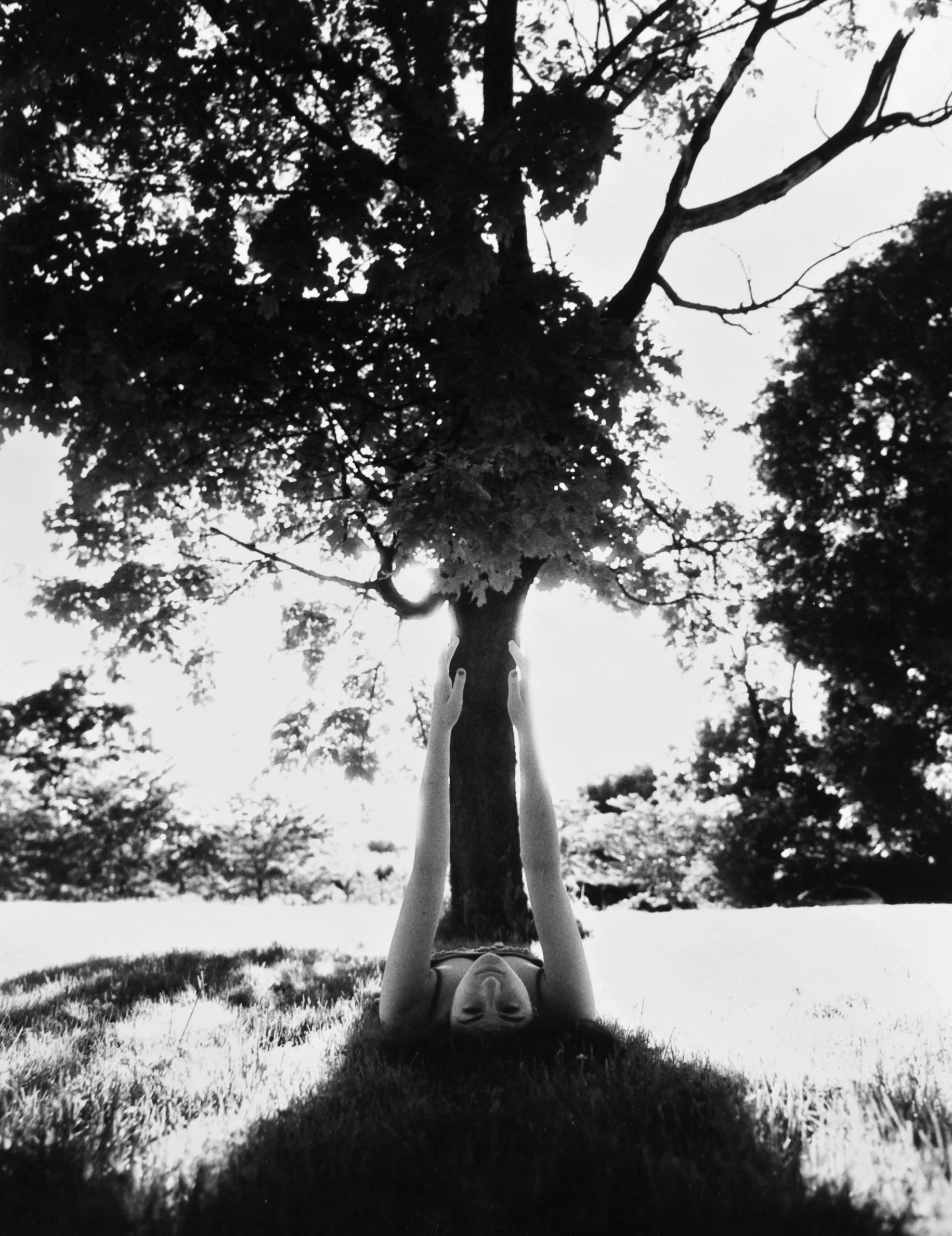   Dryad , Silver Gelatin Print, 11"x14"   Staten Island , New York 