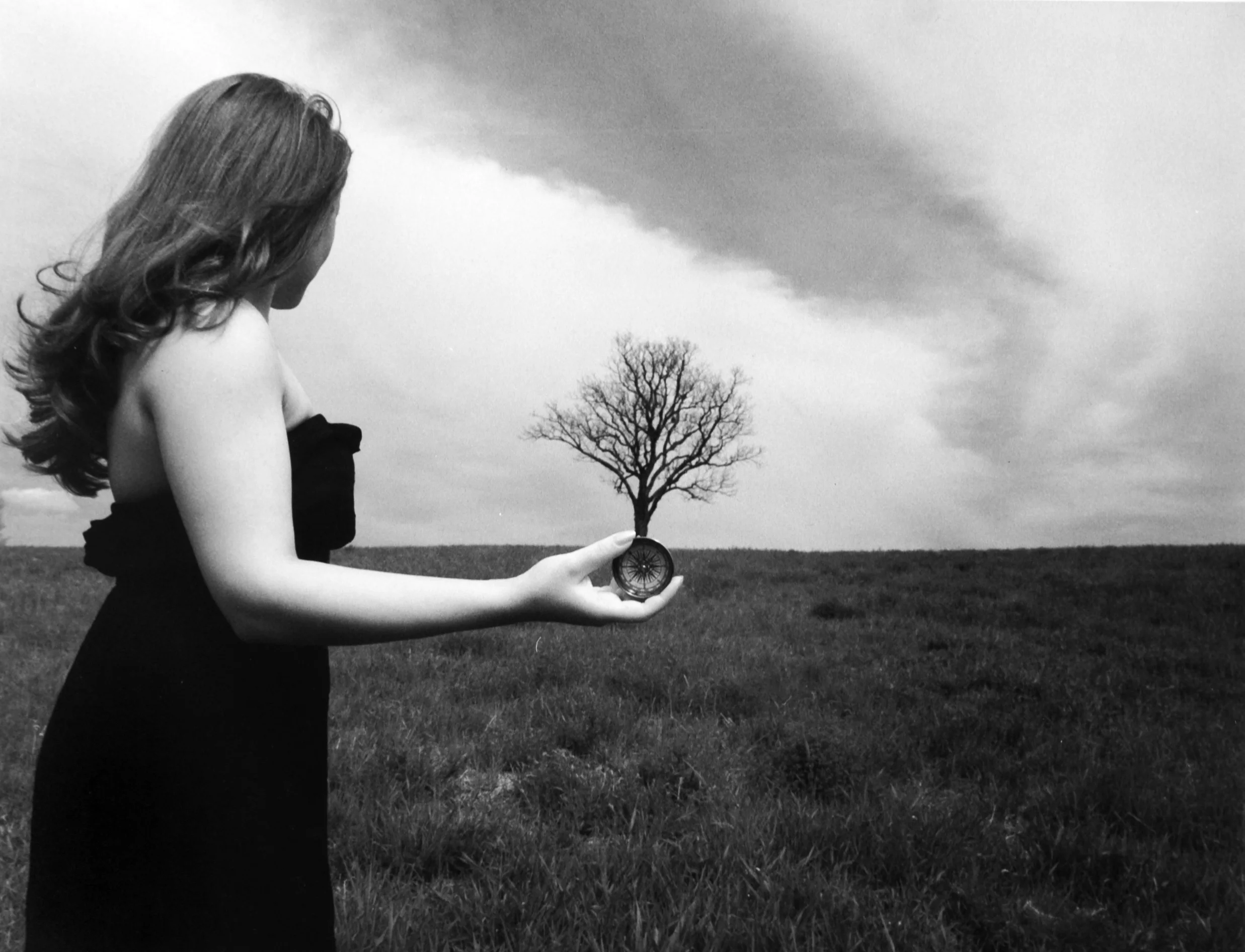   Direction , Silver Gelatin Print, 16"x20"   Storm King , New York 