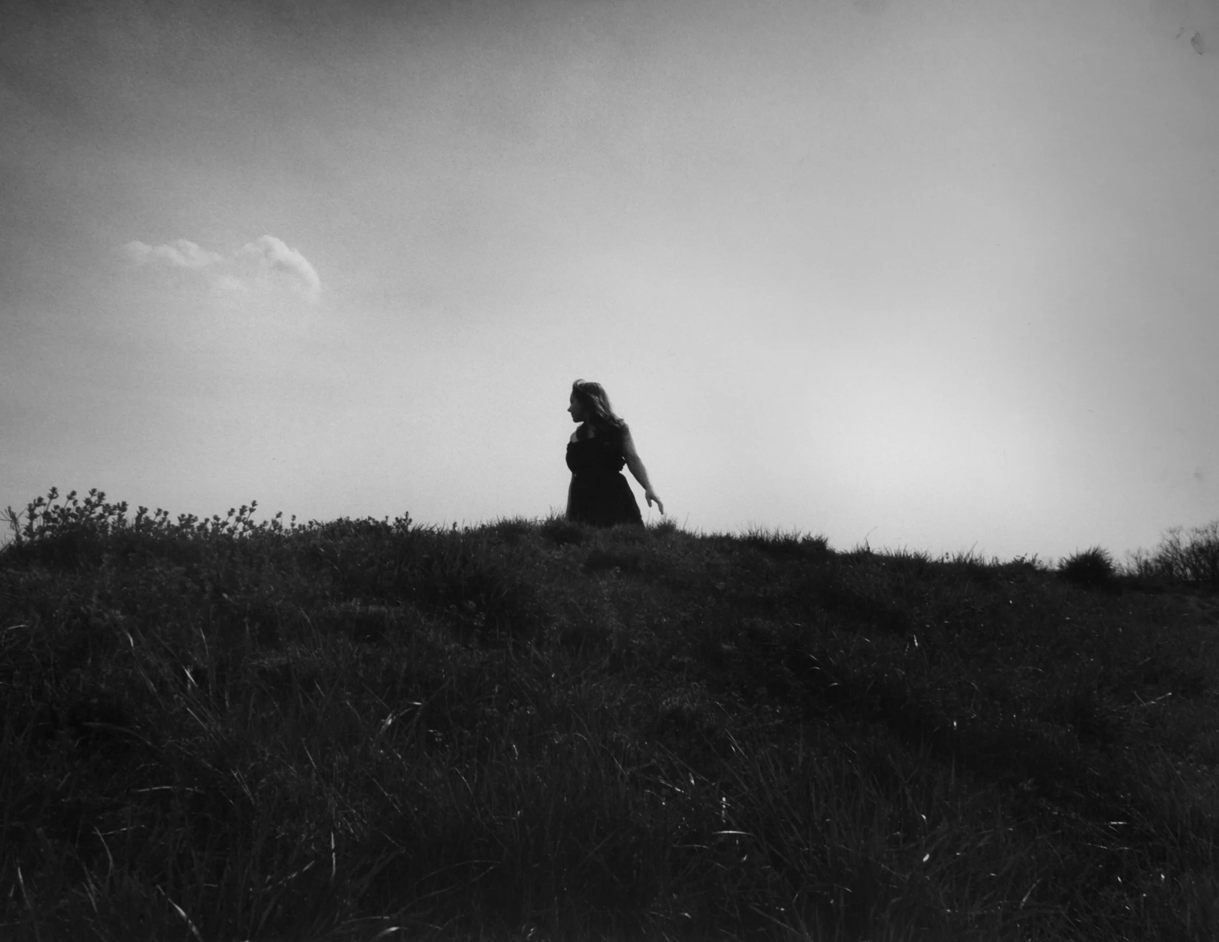   Staten Island , New York  &nbsp;   