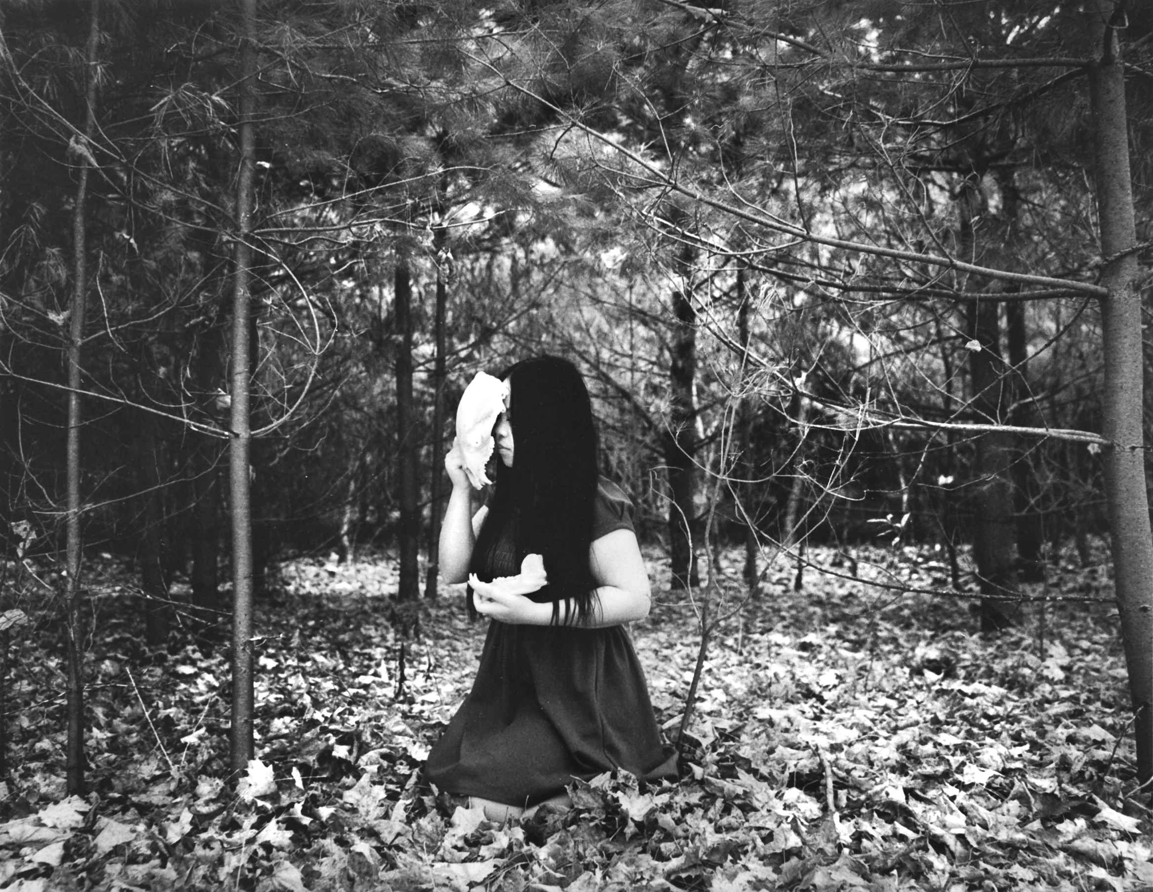   Veil , Silver Gelatin Print, 16"x20"   Salem , New York 