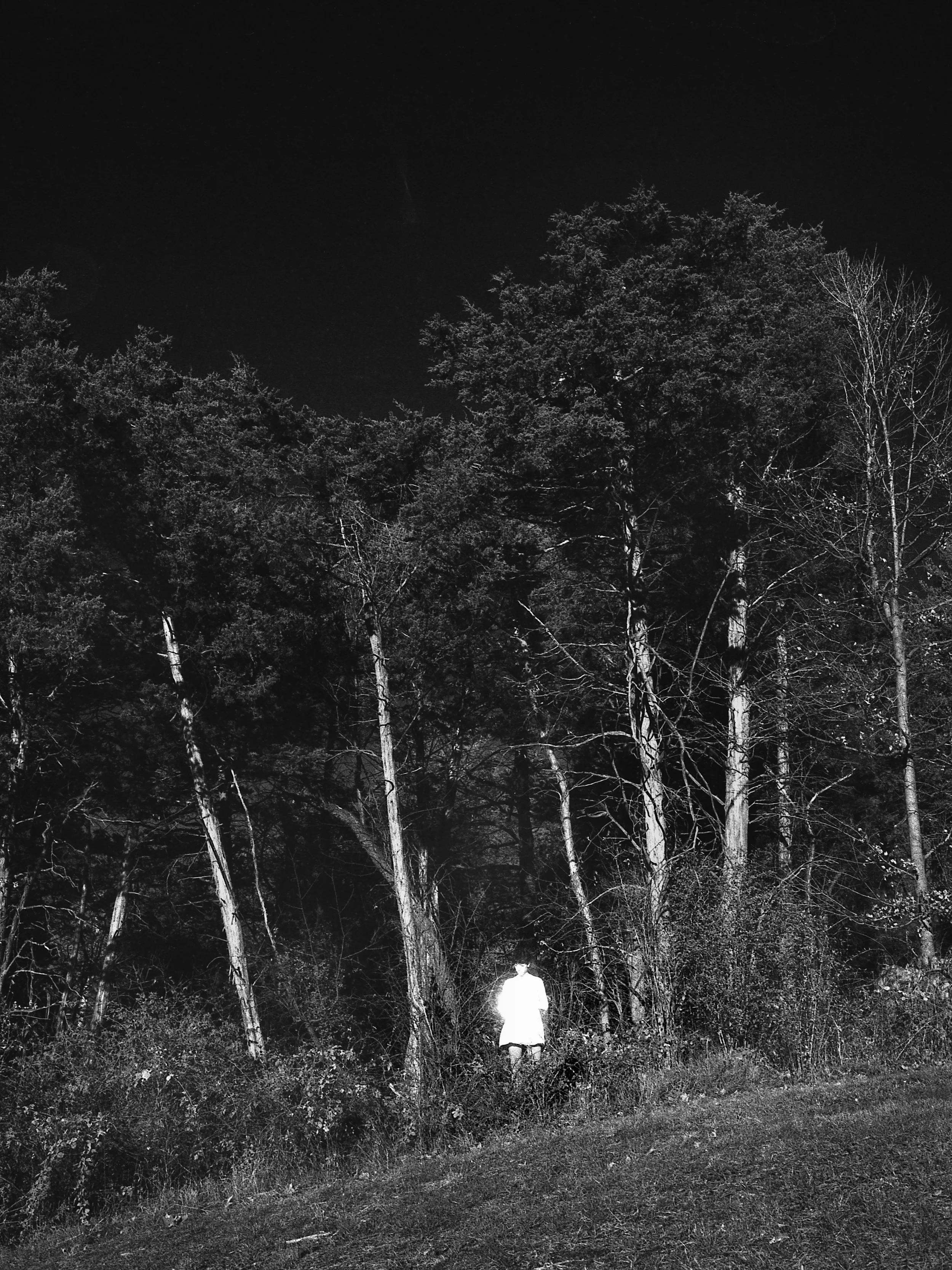   Radiate , Silver Gelatin Print, 11x14   Hudson , New York 