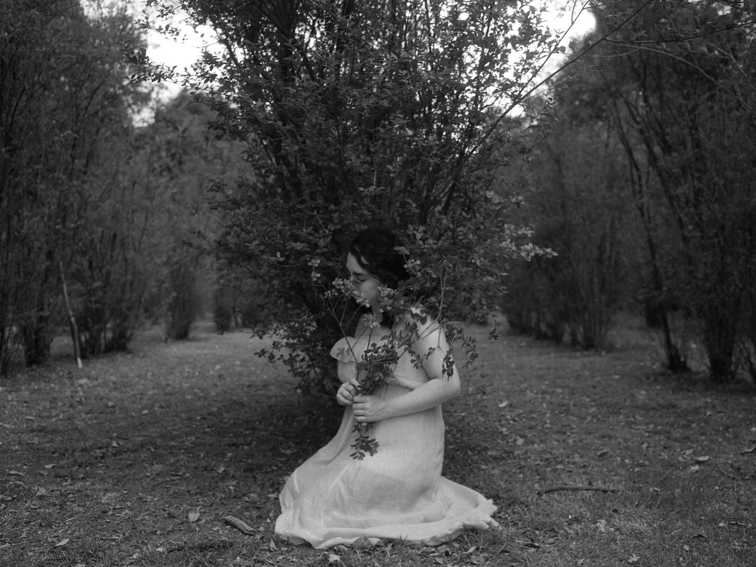   Cultivate , Silver Gelatin Print, 11x14   Mexico City , Mexico 