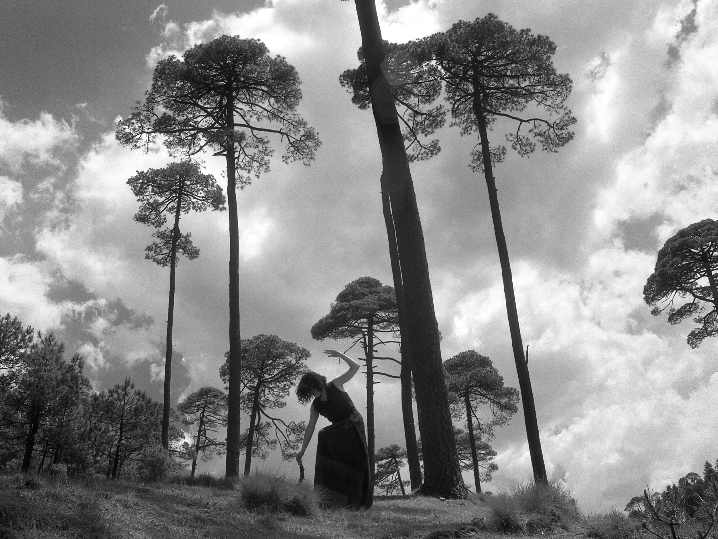   Surge , Silver Gelatin Print, 16x20   Mexico City , Mexico 