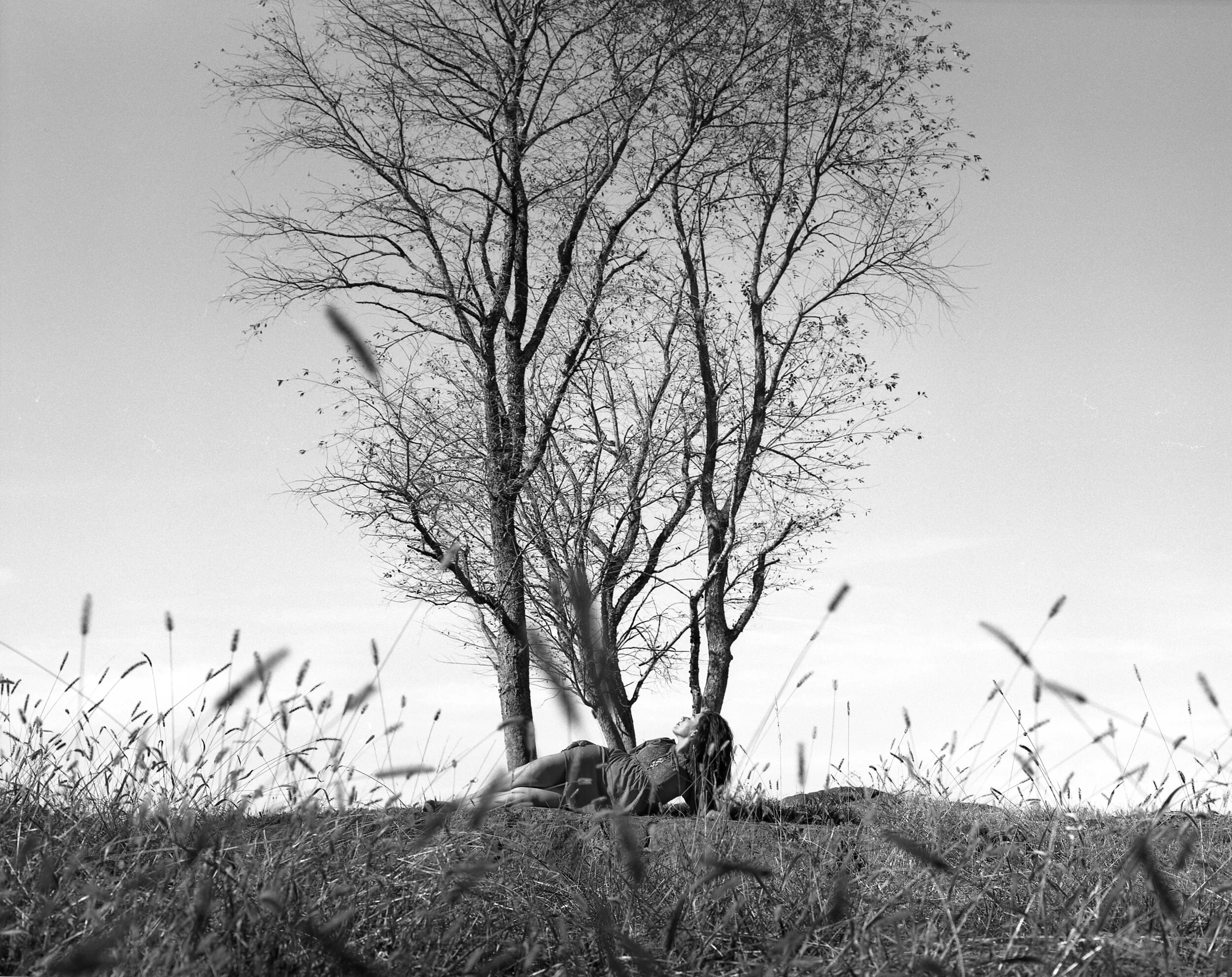   Westchester , New York 