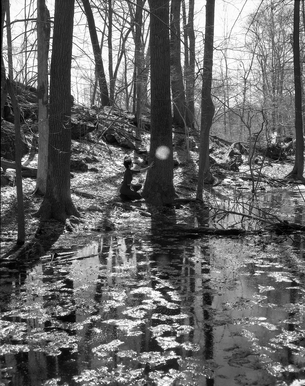   Westchester , New York 