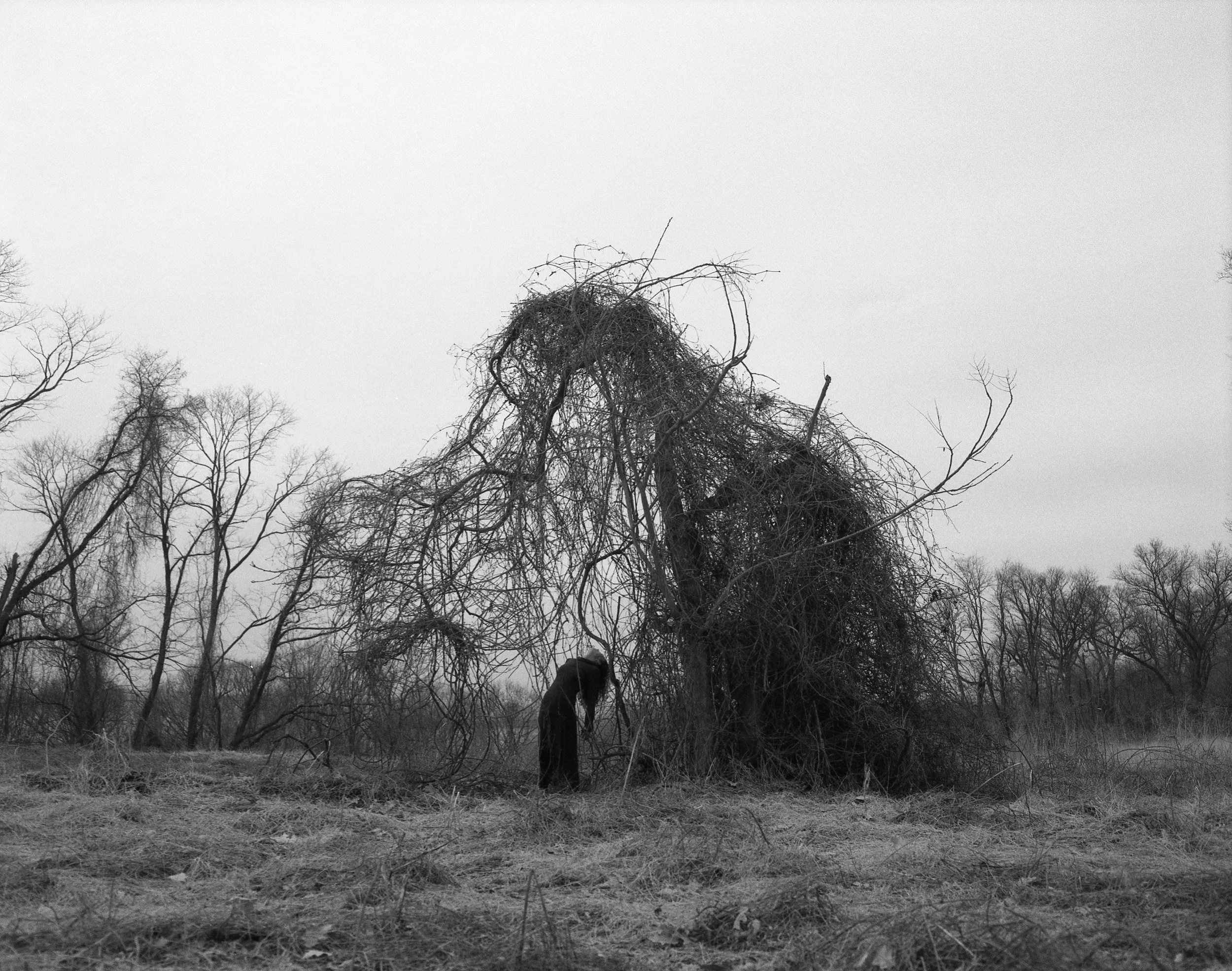   Westchester , New York 