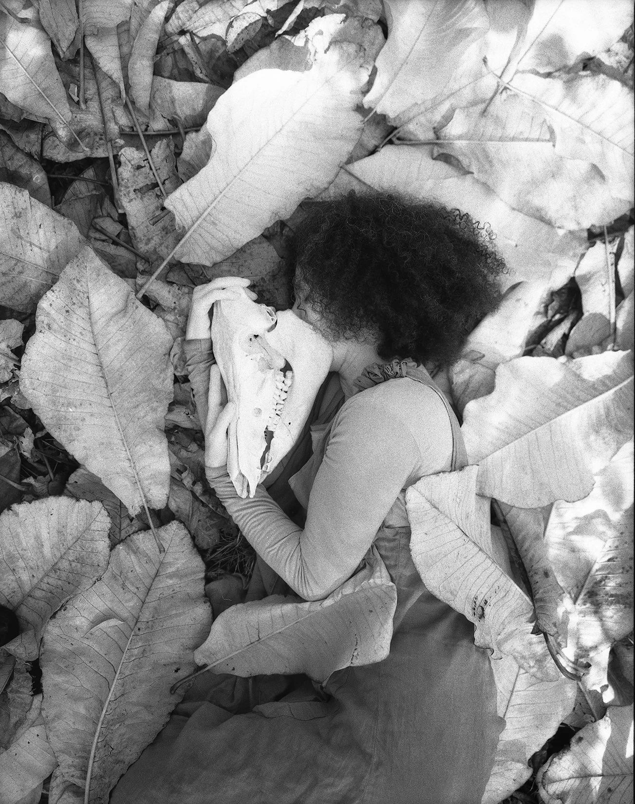   Stone Ridge , Ulster County, New York 