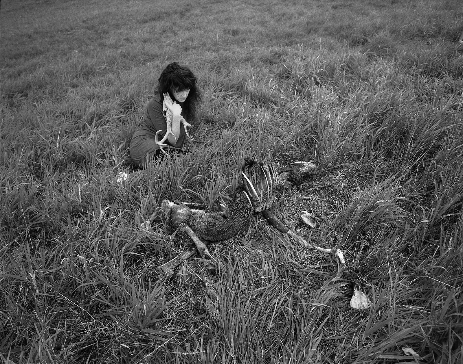   Wyoming County , Pennsylvania 