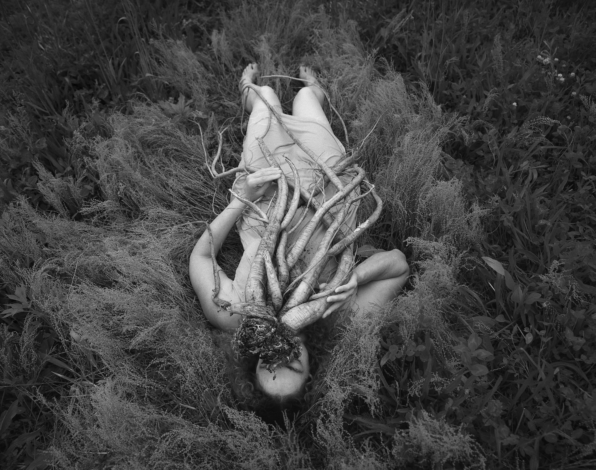   Little Switzerland,  North Carolina 