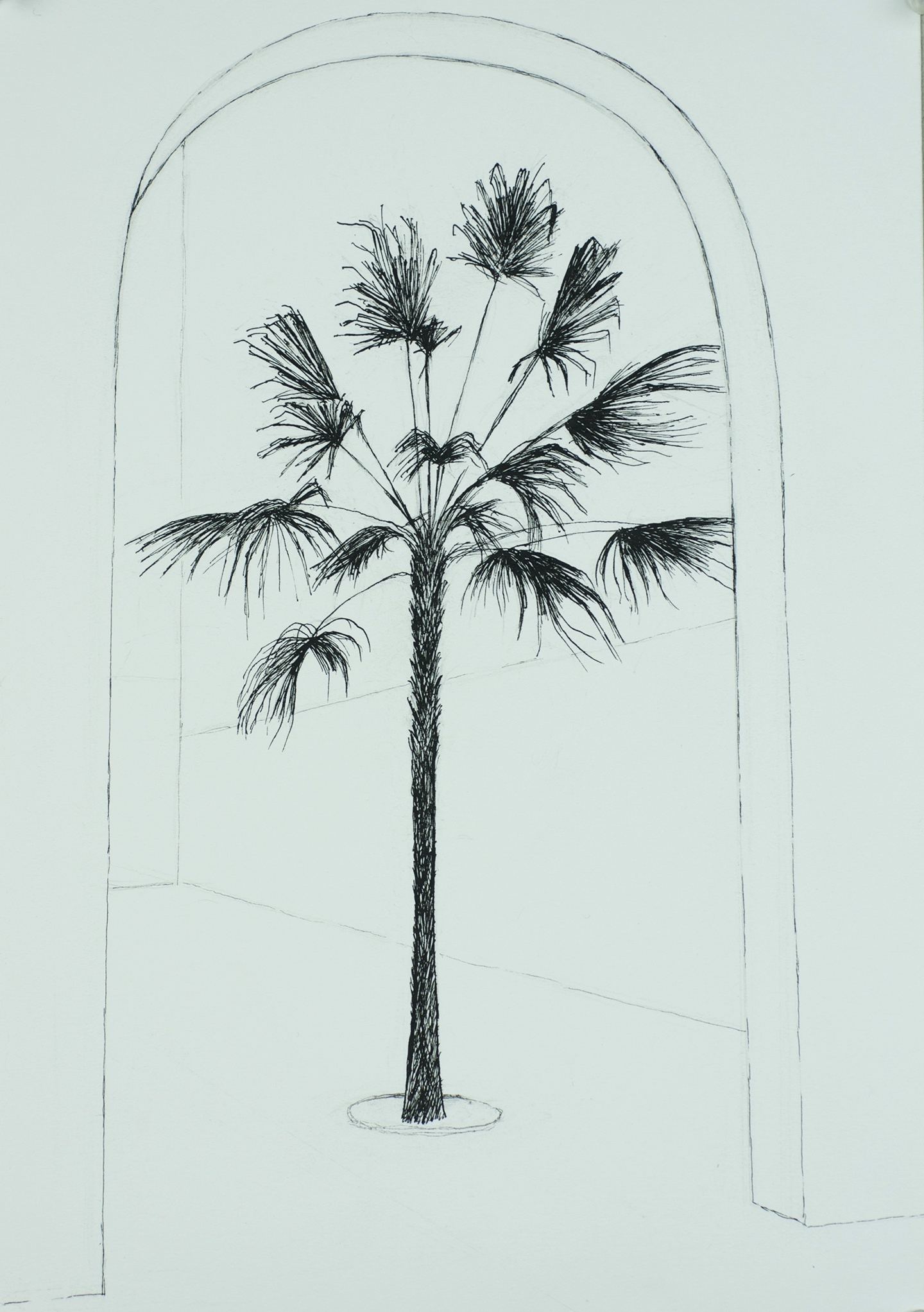 "Palm in Florence"