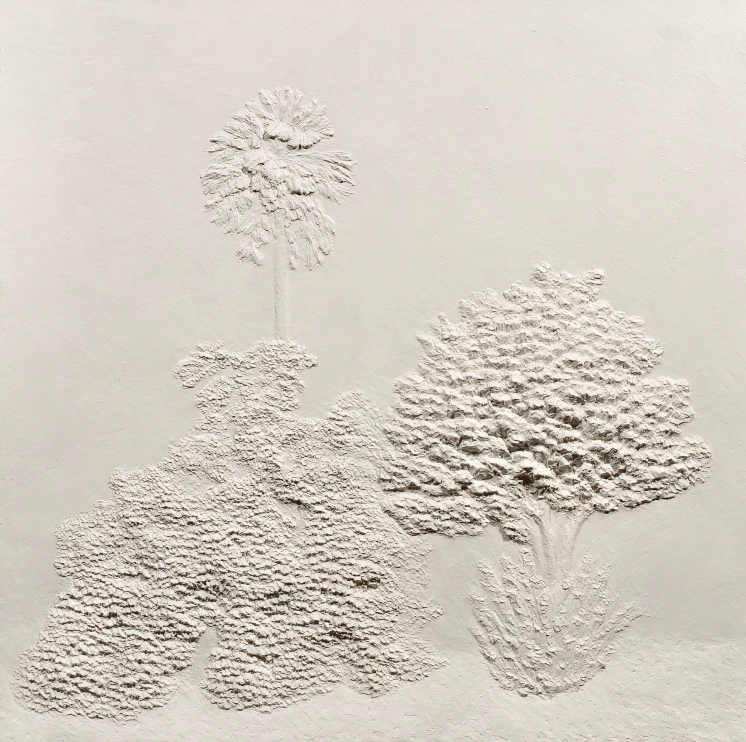 "Kudzu"