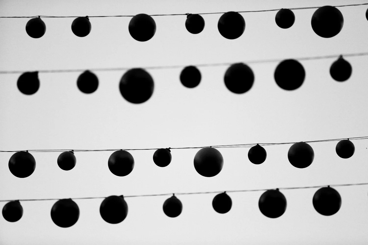 black-and-white-lights-fairy.jpg