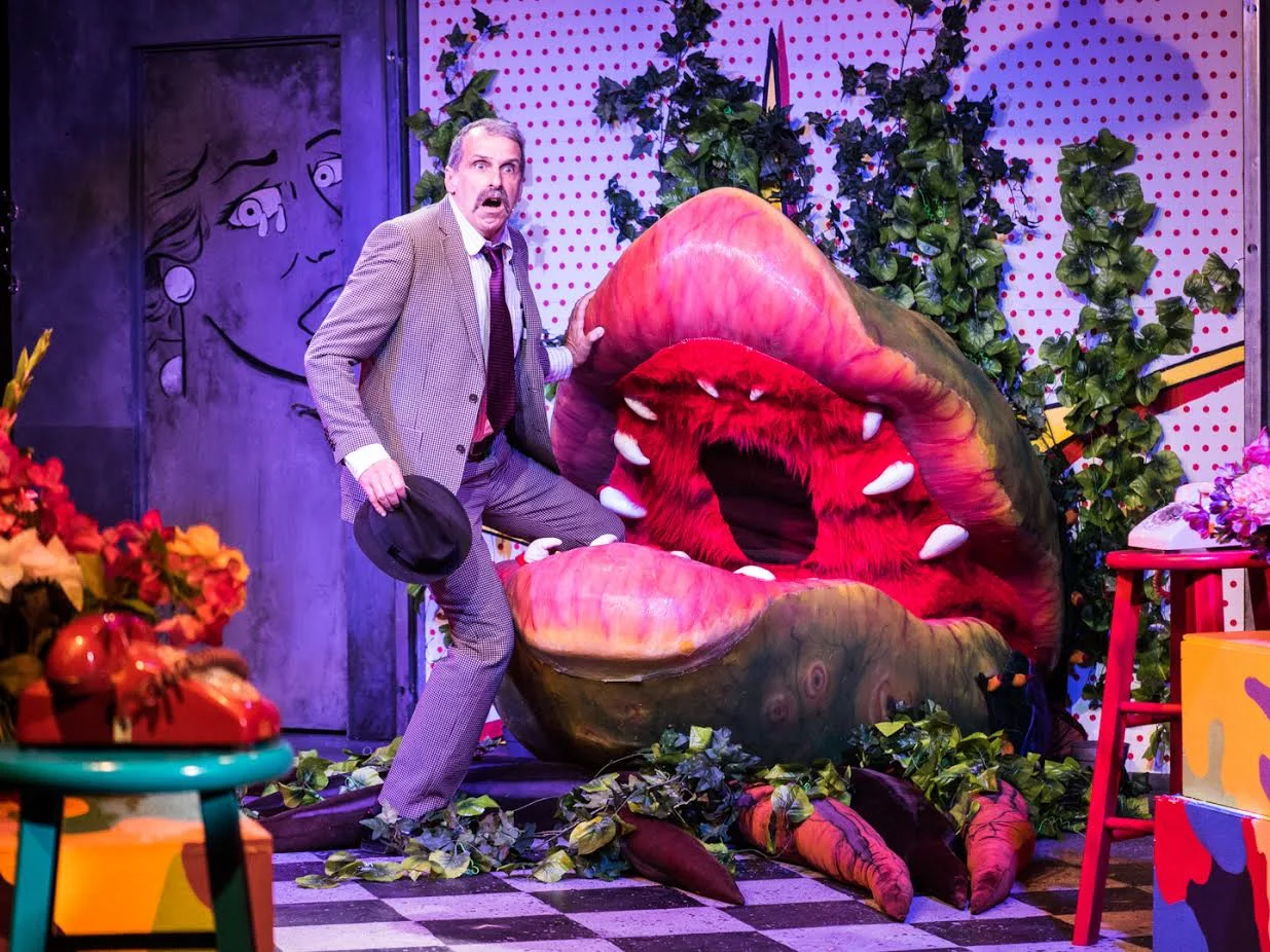 Mr. Mushnik (Damian Buzzerio) (photo: Rich Wagner)