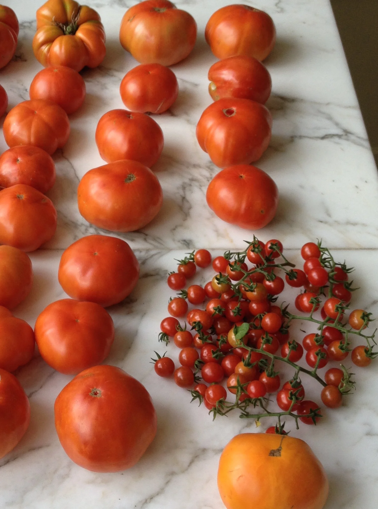 Tomatoes on Marble.jpg