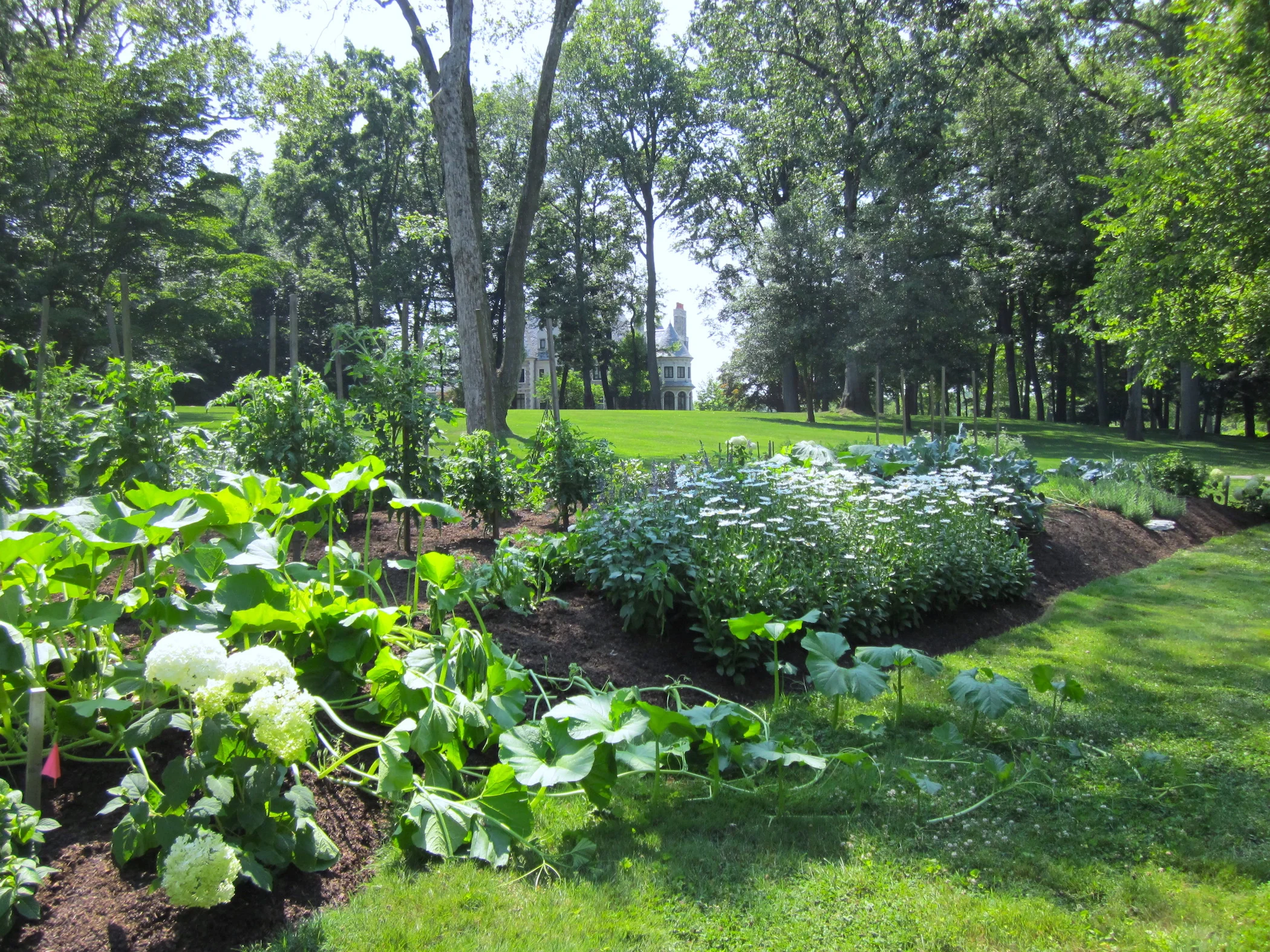 Ryan View Toward House.JPG