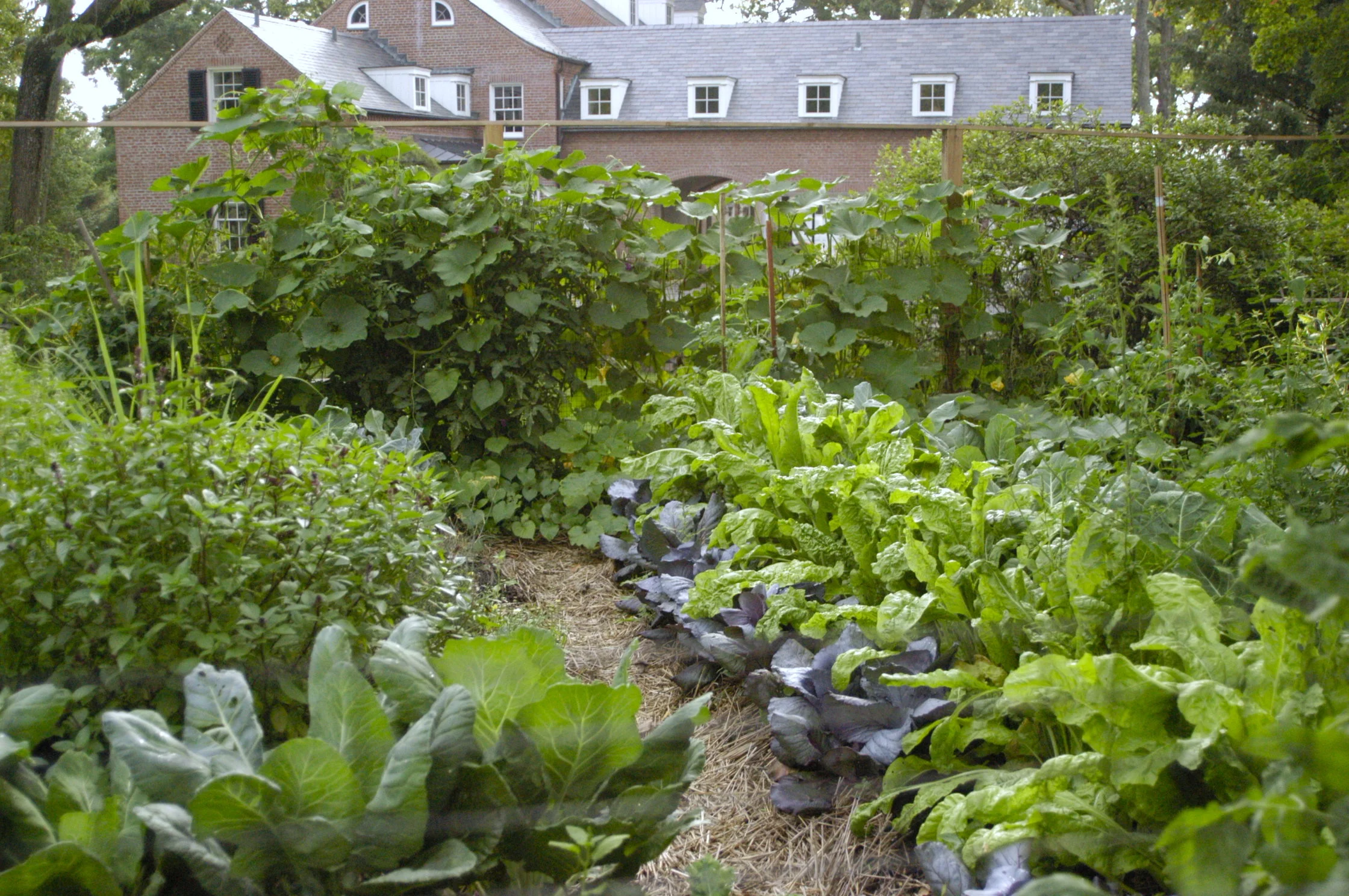 Collins Garden View.JPG