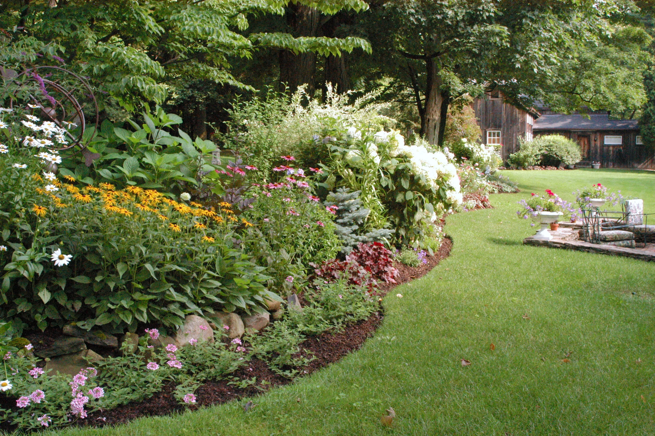 Gallant Perennial.JPG