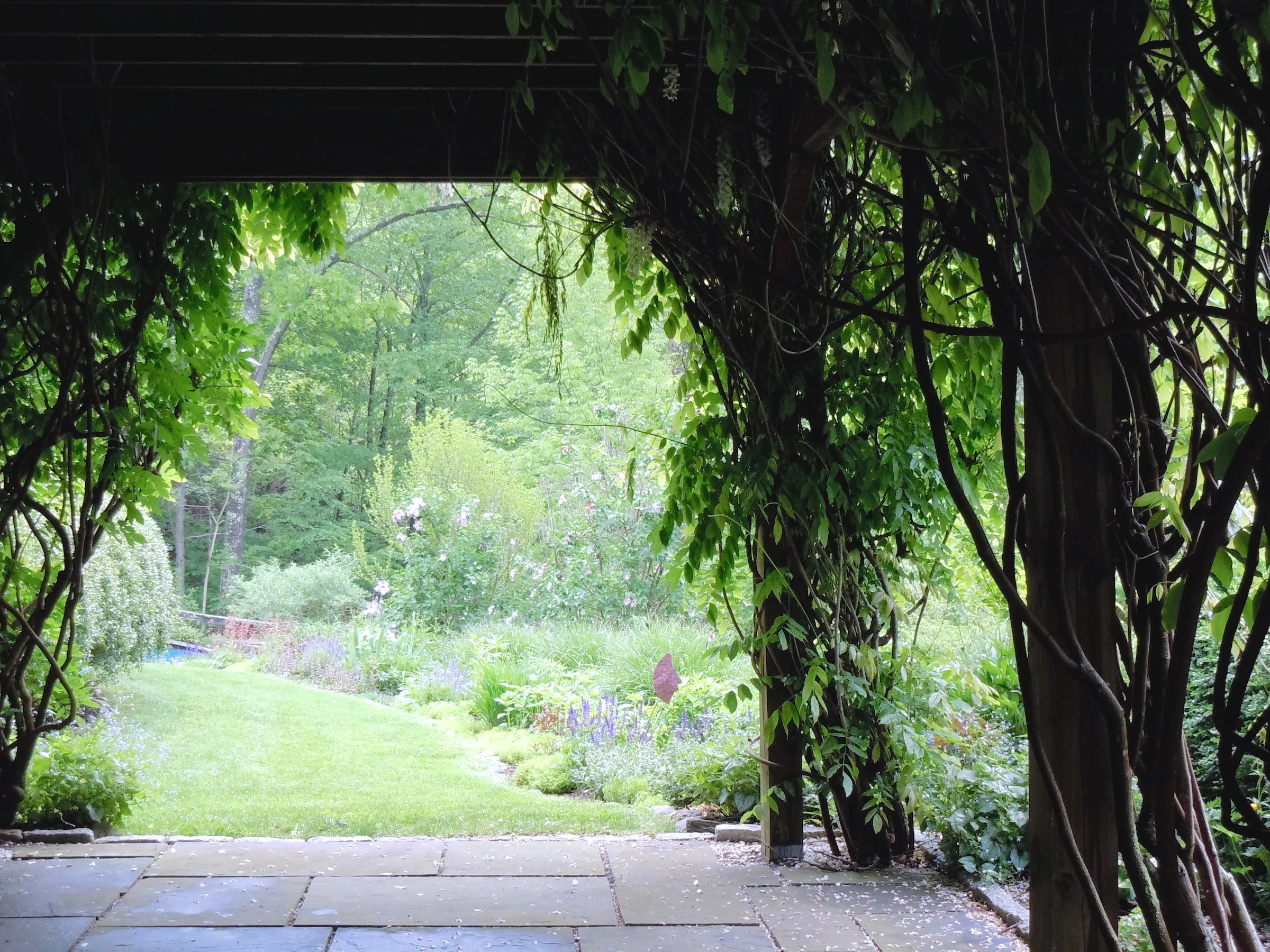 Roxbury View From Under Wisteria.JPG