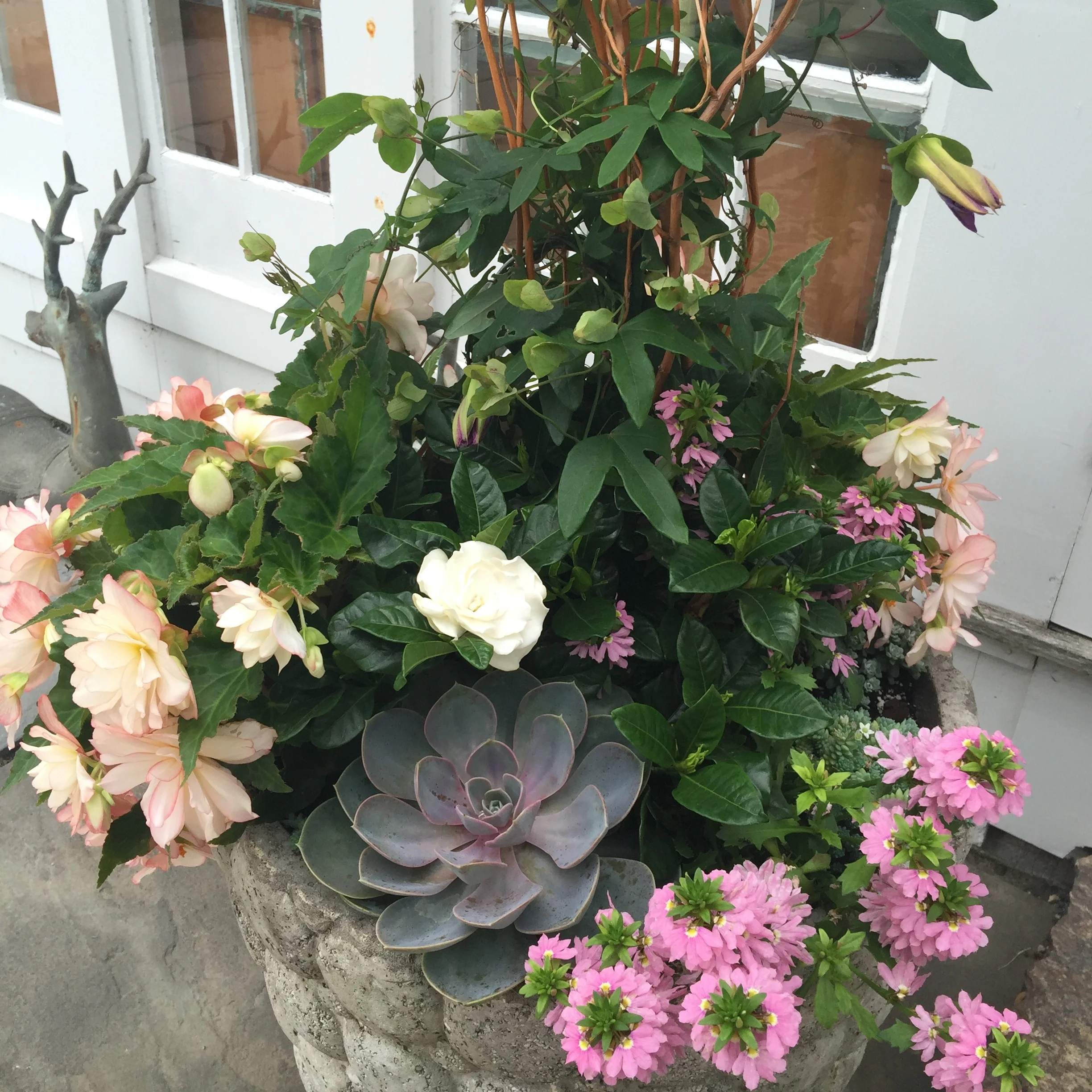 summer planter bramson.JPG