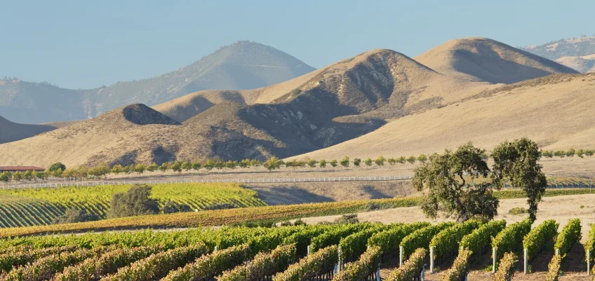 wine-country-scenic.jpg