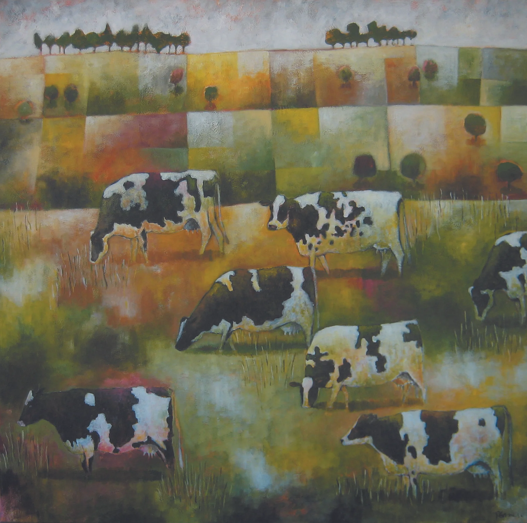 Hills, cows and paddocks