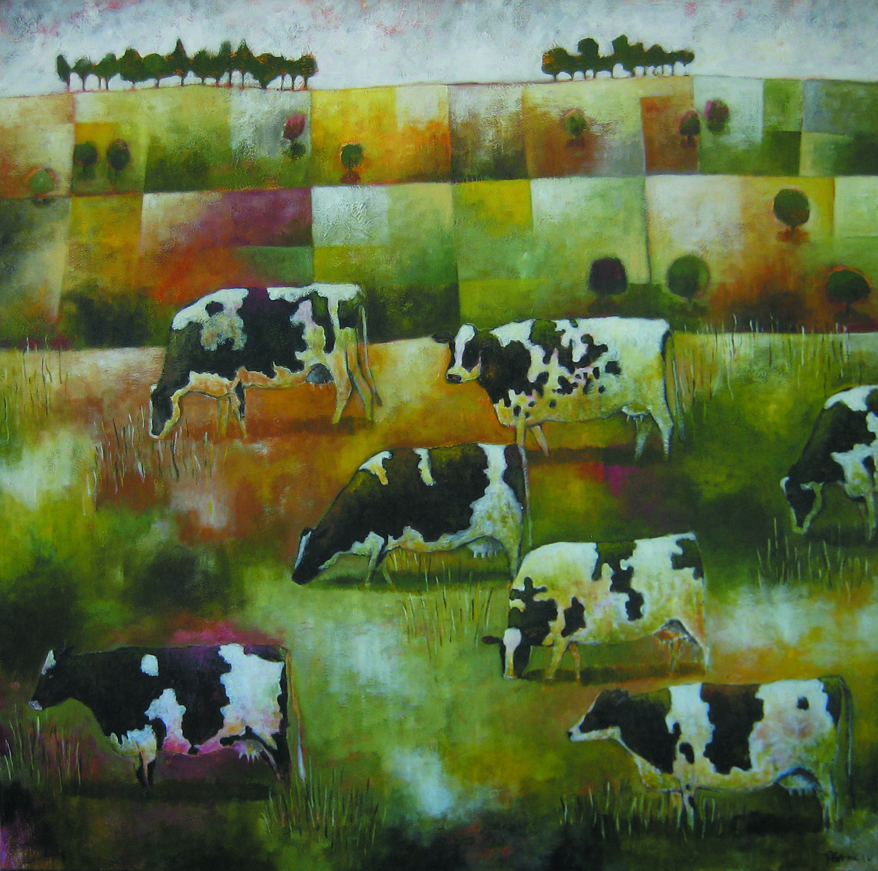 Hills, cows and paddocks