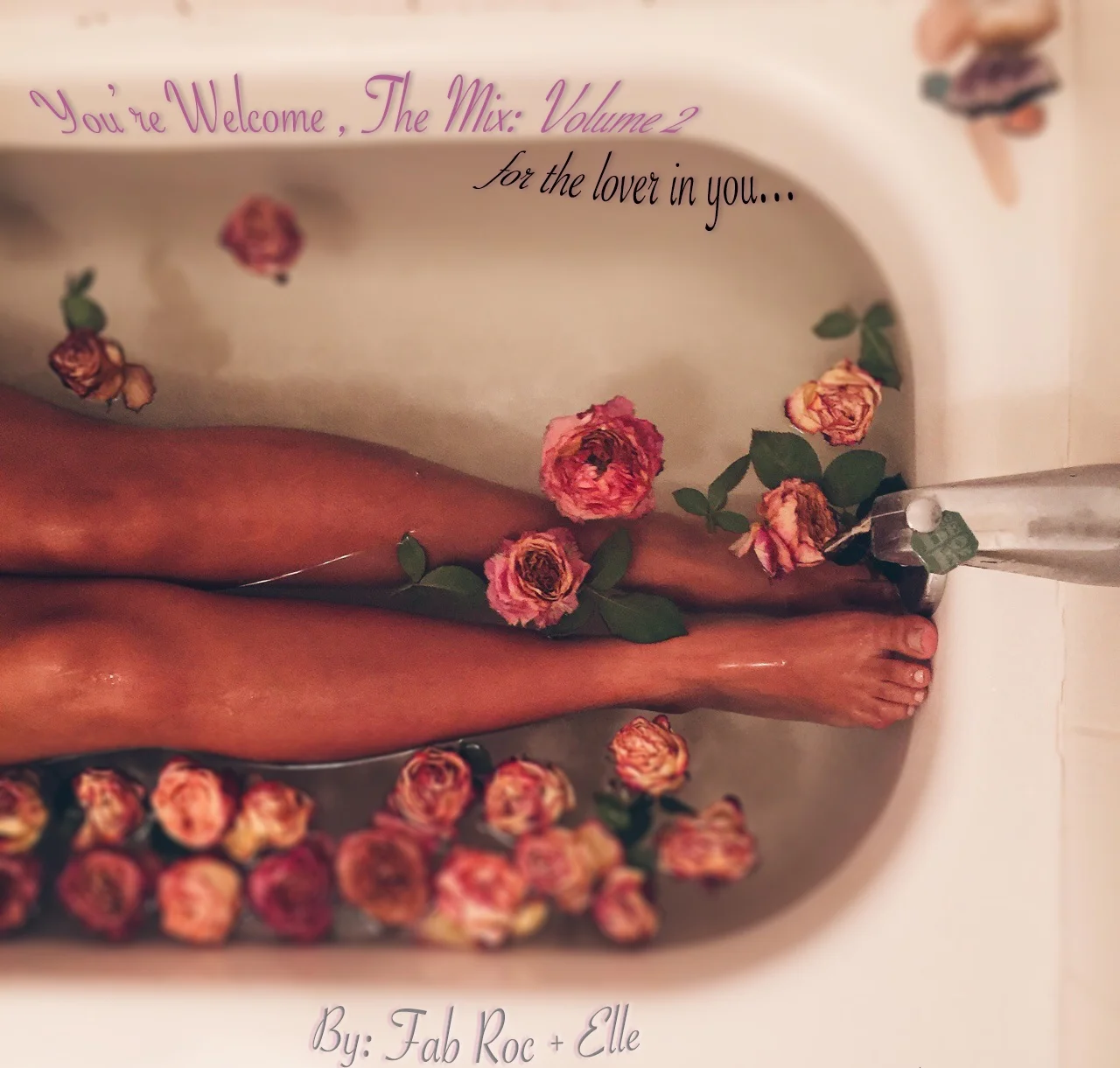 You're Welcome, The Mix: Vol. II - For The Lover In You