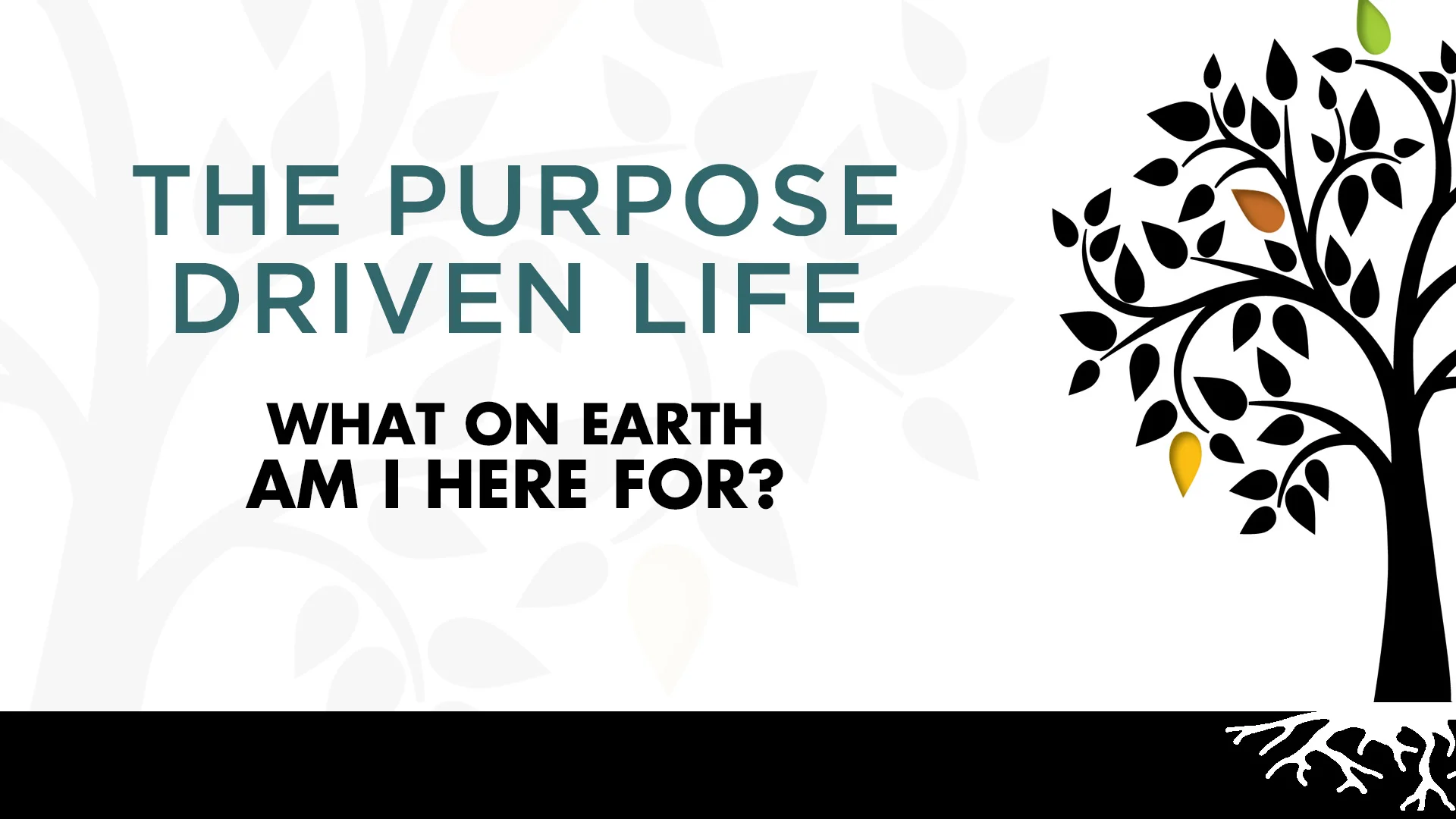 "The Purpose Driven Life" Part 4