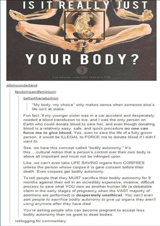 The commentary is what I identify with, not the image. I am hard core pro choice.