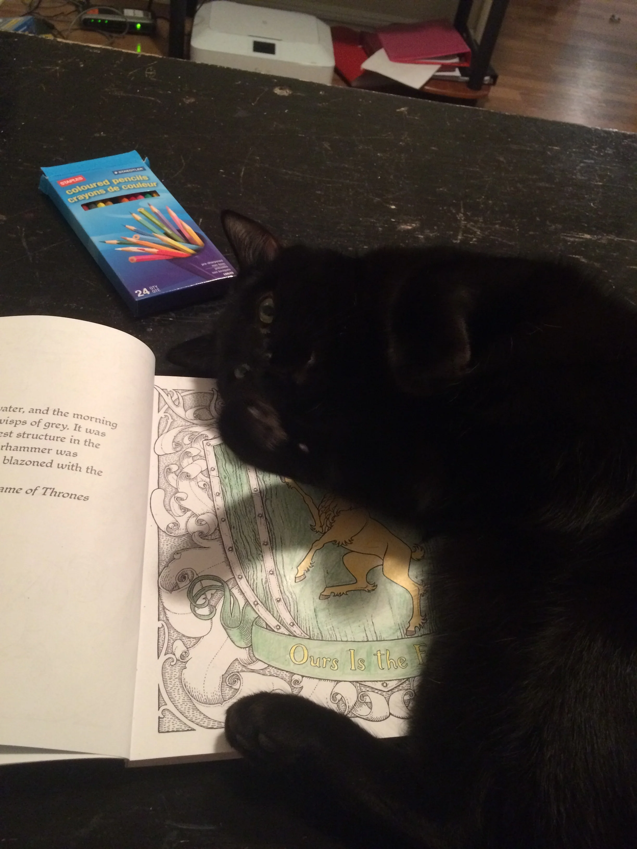 He determined that my Game of Thrones colouring book needed to go away.