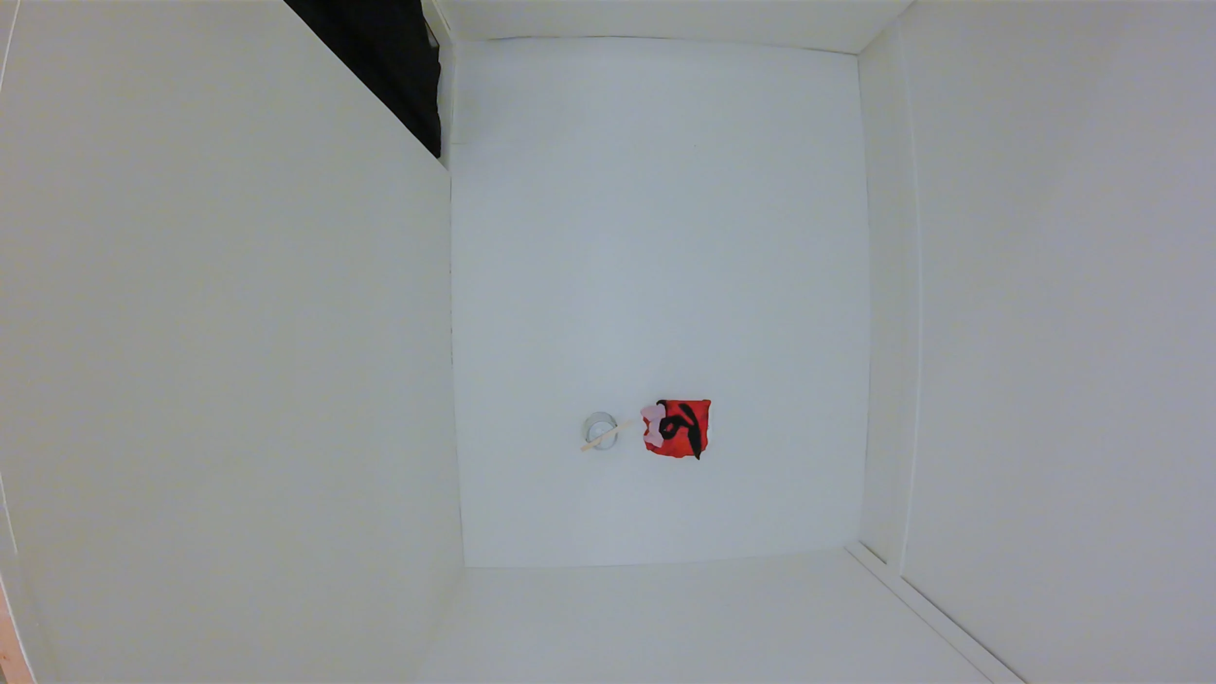 Marking. (BEFORE the performance) 96x125x96 inches. Installation view.