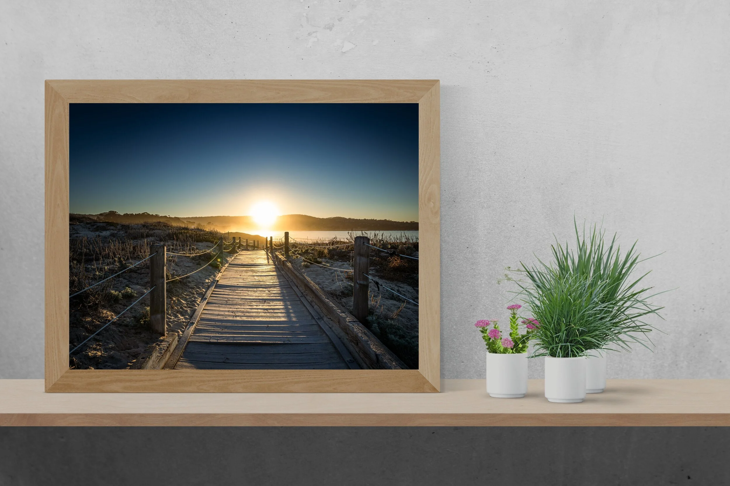 Image For Shop On Website.jpg