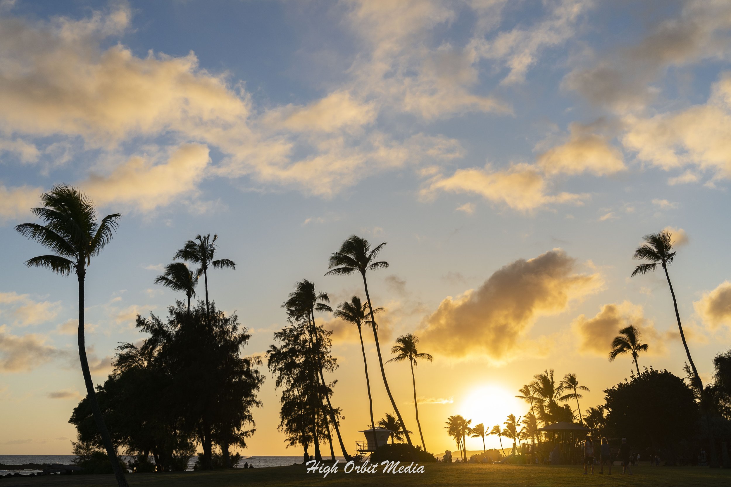 Sunset Palms.jpg
