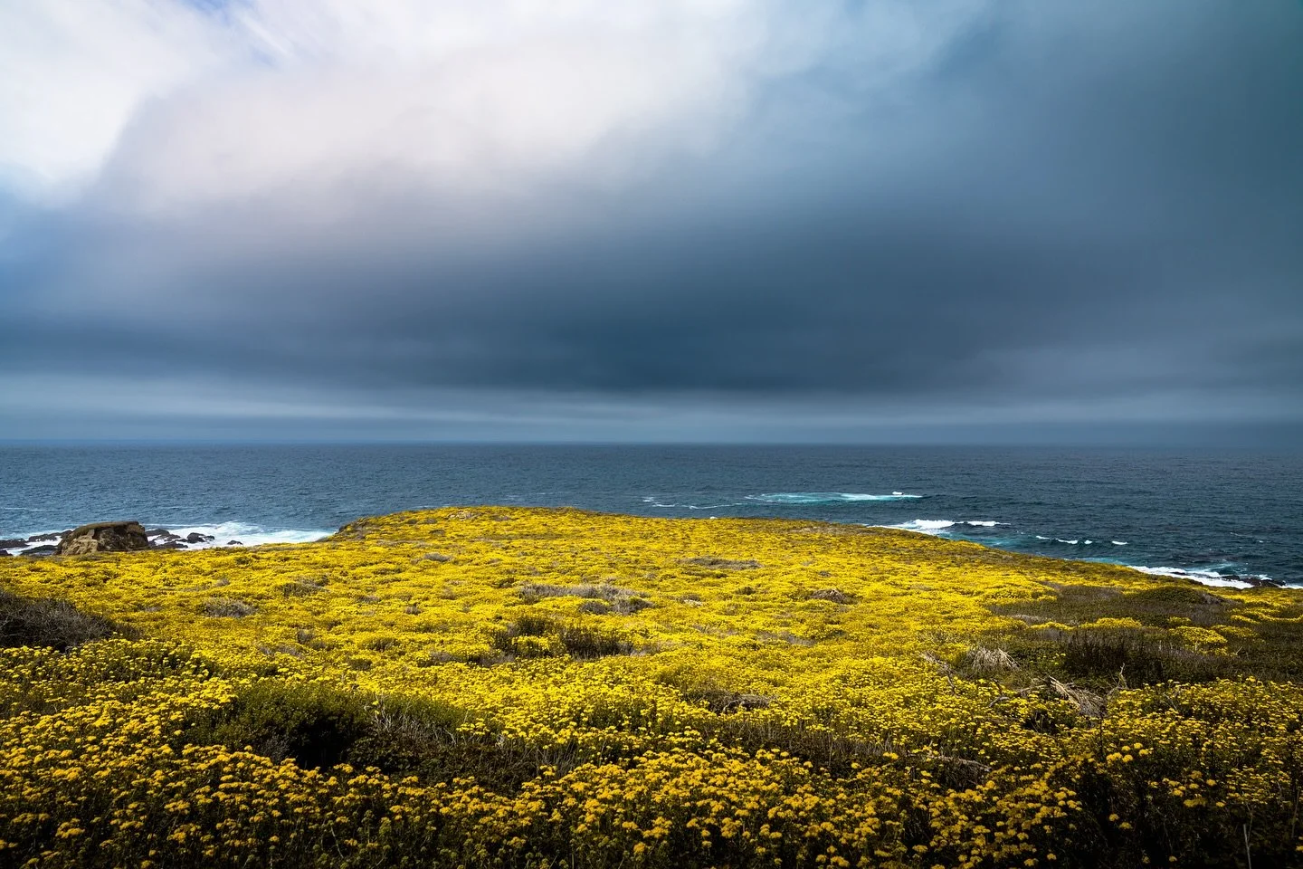 Wildflowers On The Edge.
Fields of brilliant yellow wildflowers blanket the California coast in Garrapata State Park underneath an ominous late evening sky.
@castateparks @visitcalifornia @calparks
#garrapatastatepark #californiastatepark #statepa