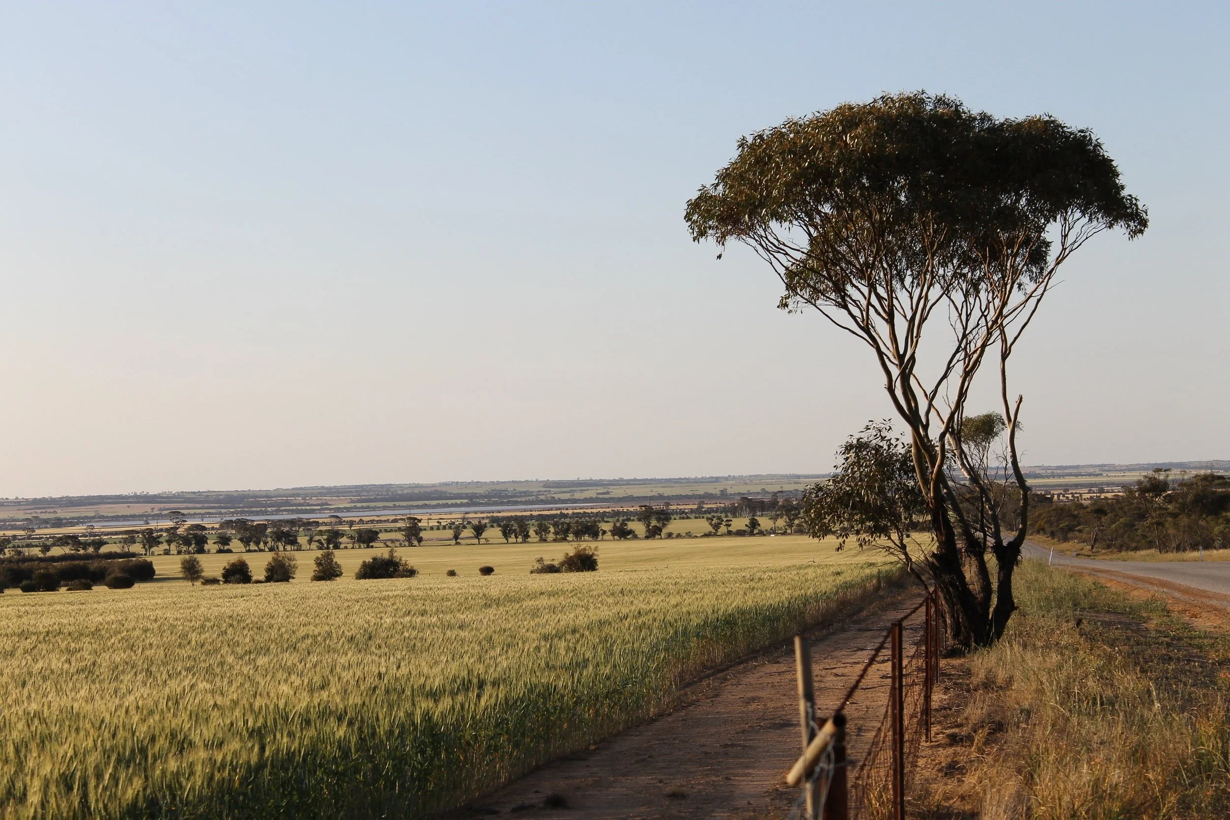 Partners In Grain WA's Summit in Perth Inspires Wheatbelt Farm